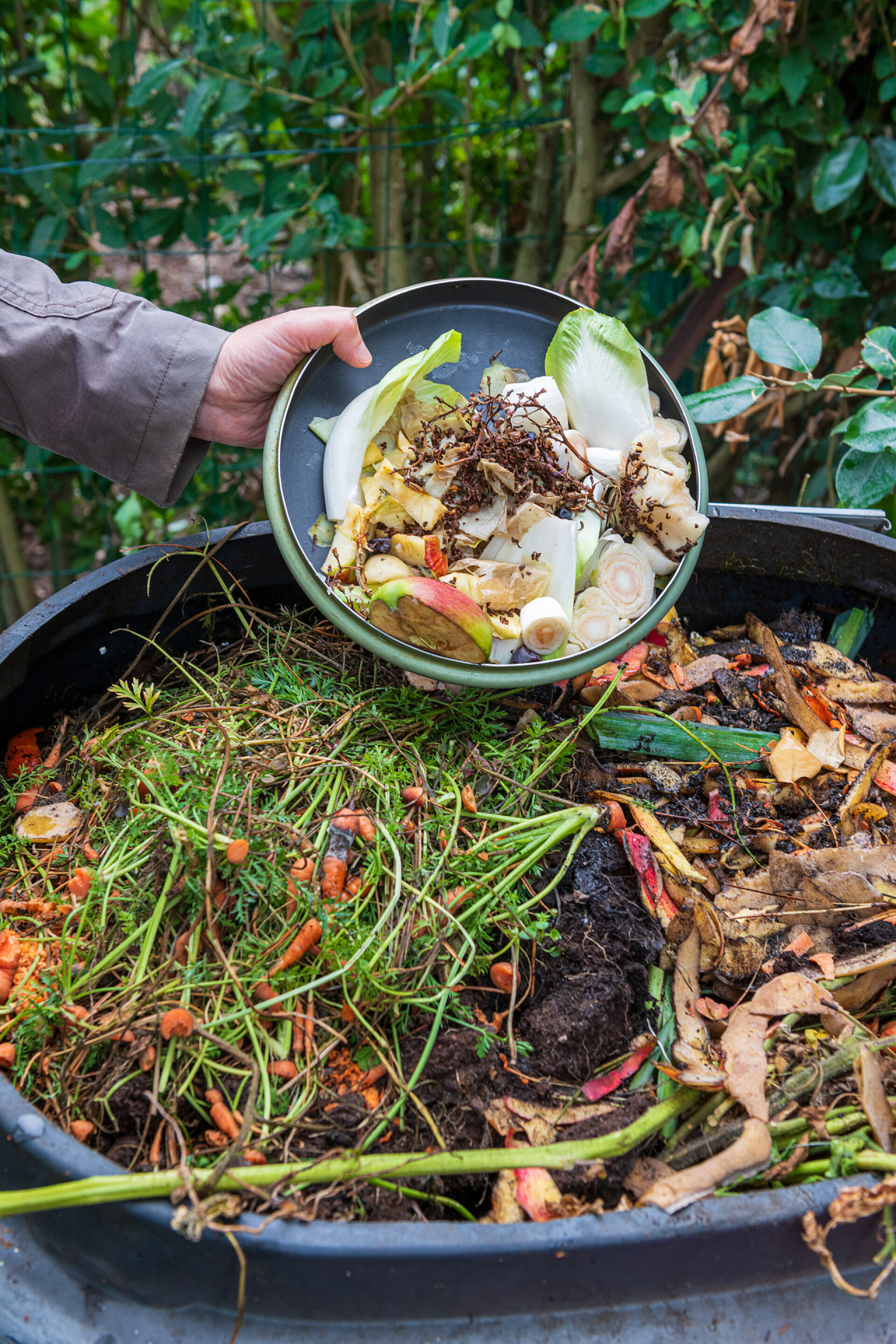 把厨余垃圾放入垃圾桶女人们用厨房垃圾扔堆肥