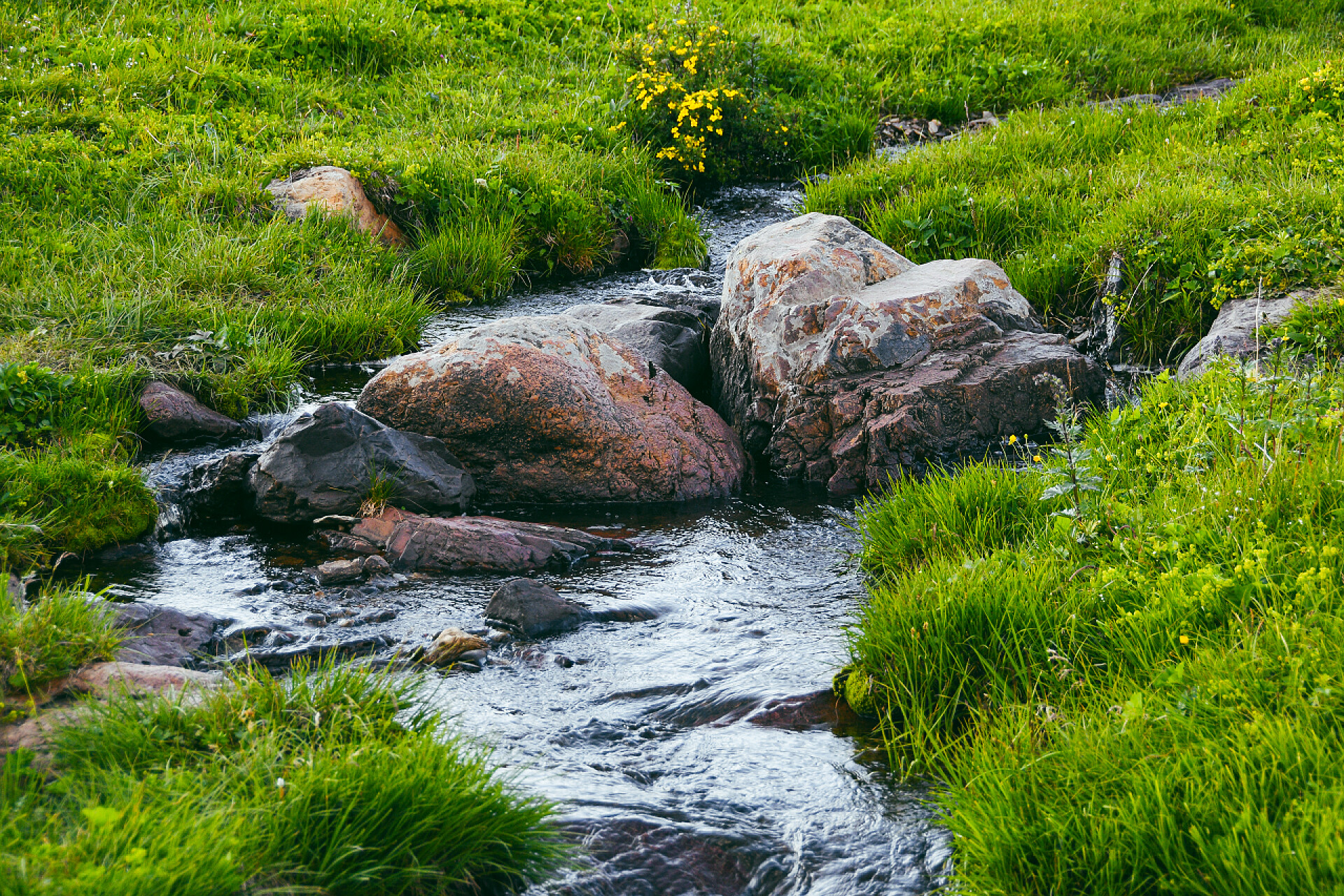 青翠山谷中的小溪青翠的山谷中的山溪. 在蜿蜒的河床上的岩石和石头。 在牧场里洗澡