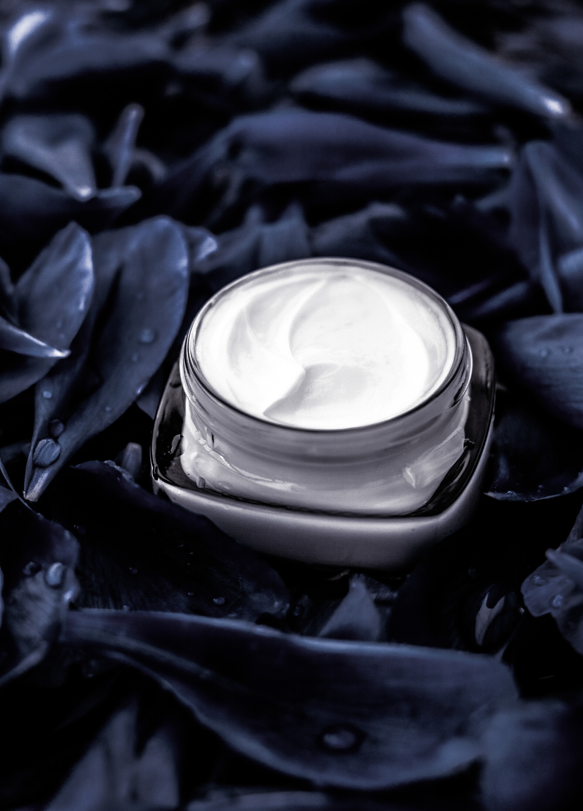 黑色背景中一款保湿霜深色花束面部皮肤用豪华护肤霜