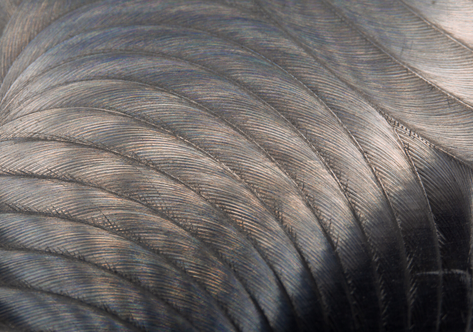 工业曲线自然纹理背景工业Cnc路由后局部聚焦的工业现实灰白色不锈钢平面件