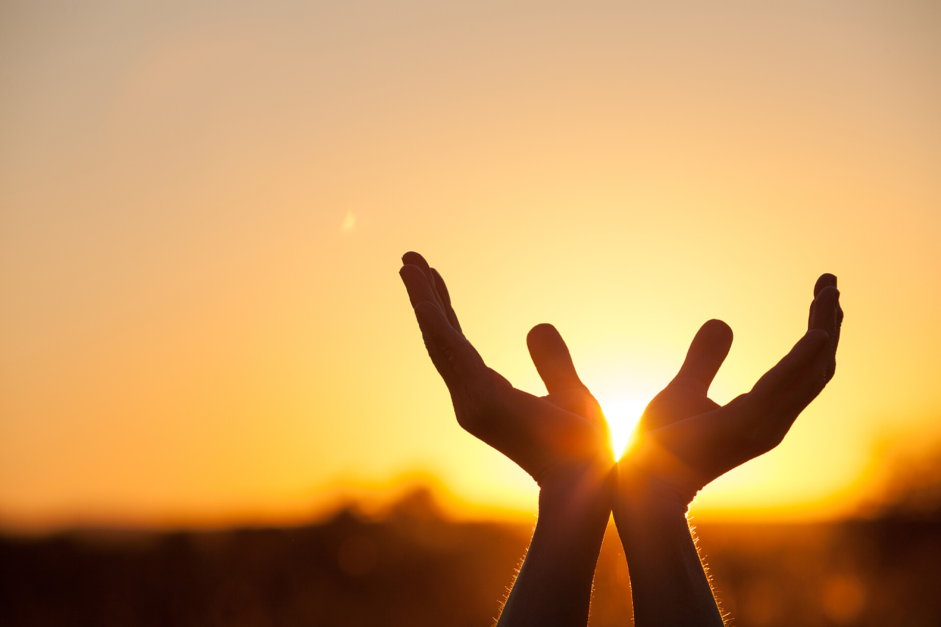 日落时分女性手的轮廓在日落的女性手的轮廓。生命的概念.