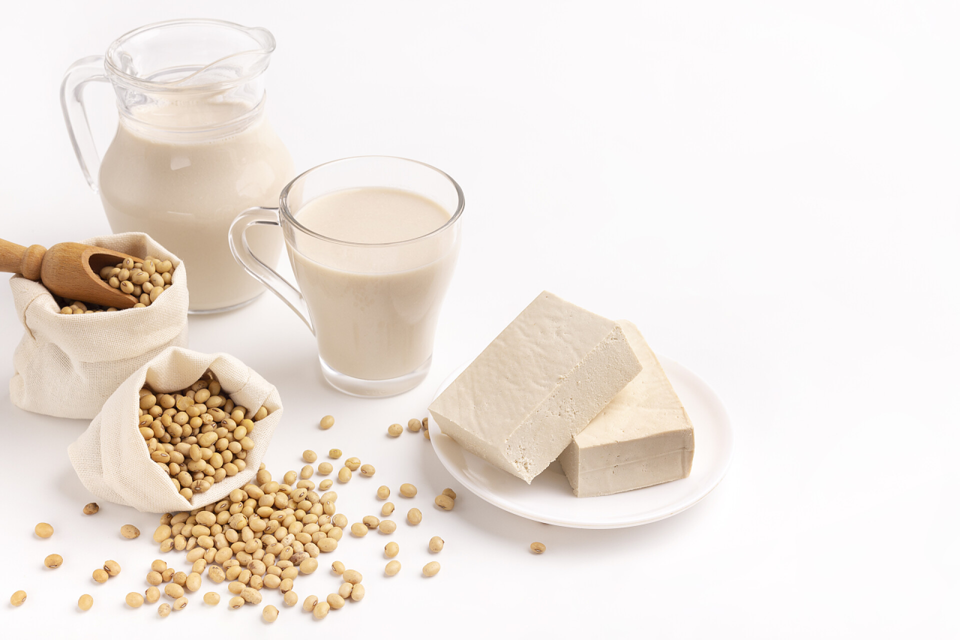 白色背景上制作豆浆的材料Soy and derivatives. Soy milk, white blocks cheese