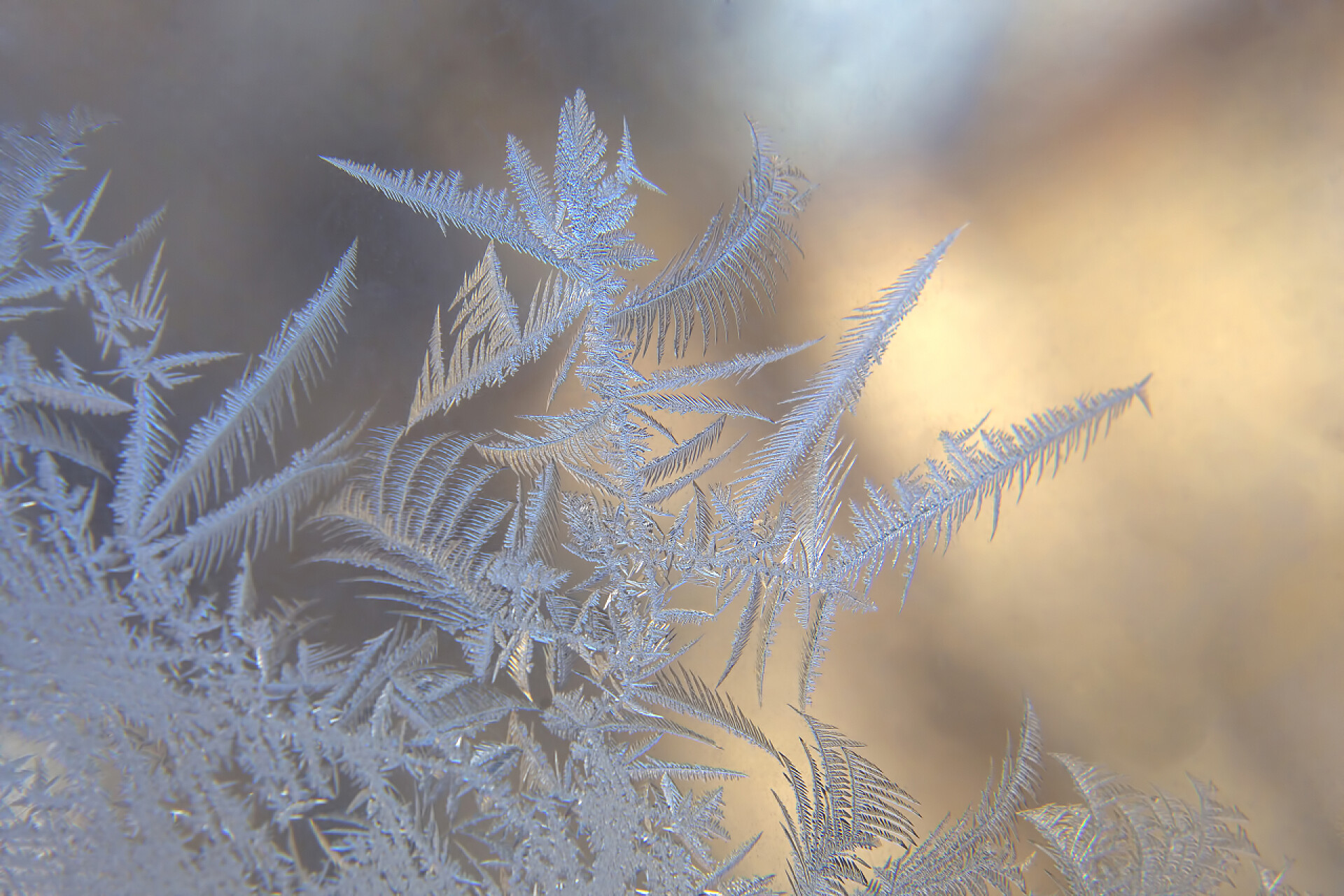 玻璃窗上结霜的图案玻璃窗上结霜的图案。自然的结构和背景。冰上的冰纹