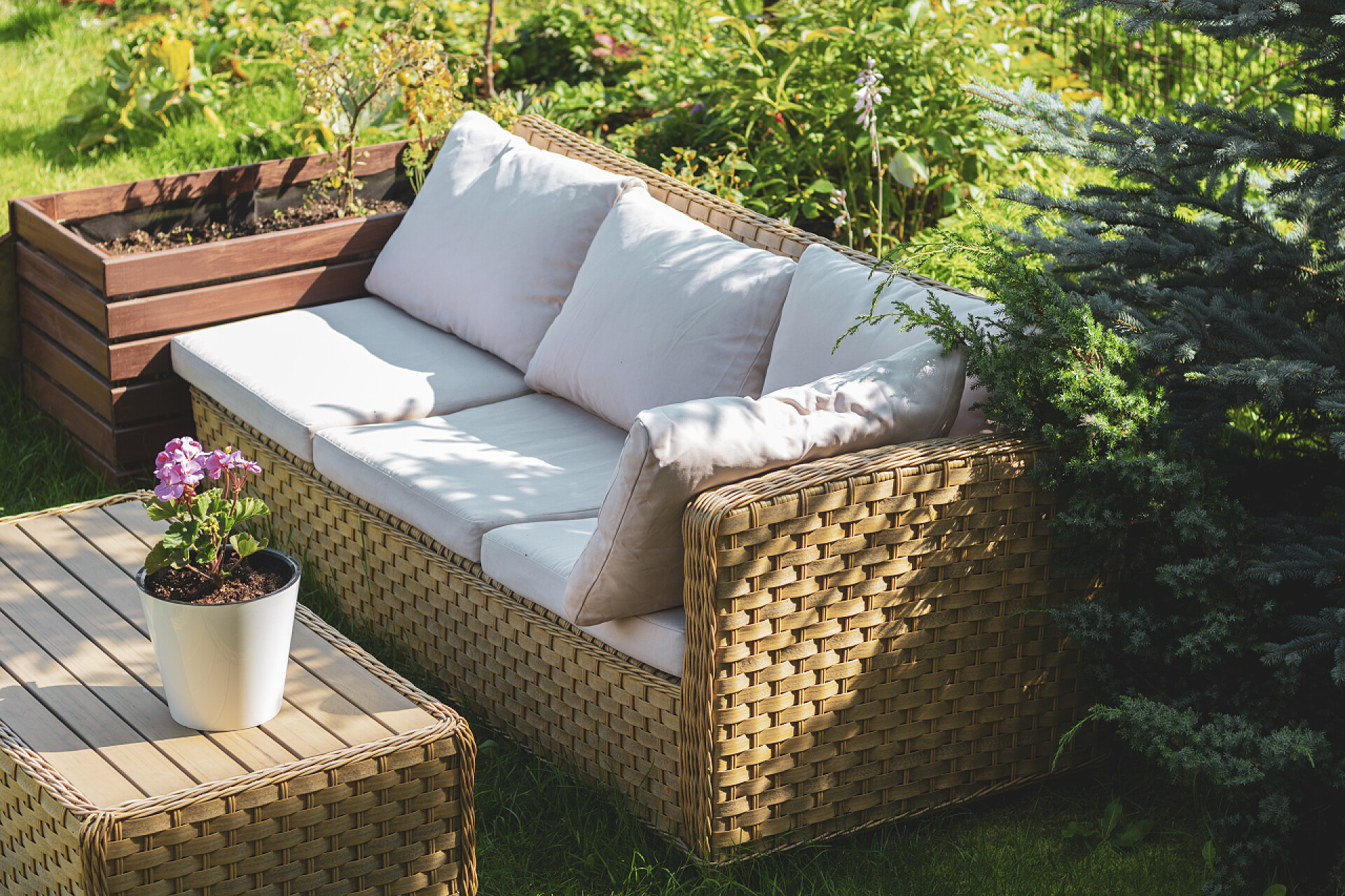 庭院里的绿植和沙发景观这个地方是一个休闲的地方，在花园里，在营地，在自然界。靠近木制桌子的舒适的沙发。乡间别墅后院落内的休憩用地