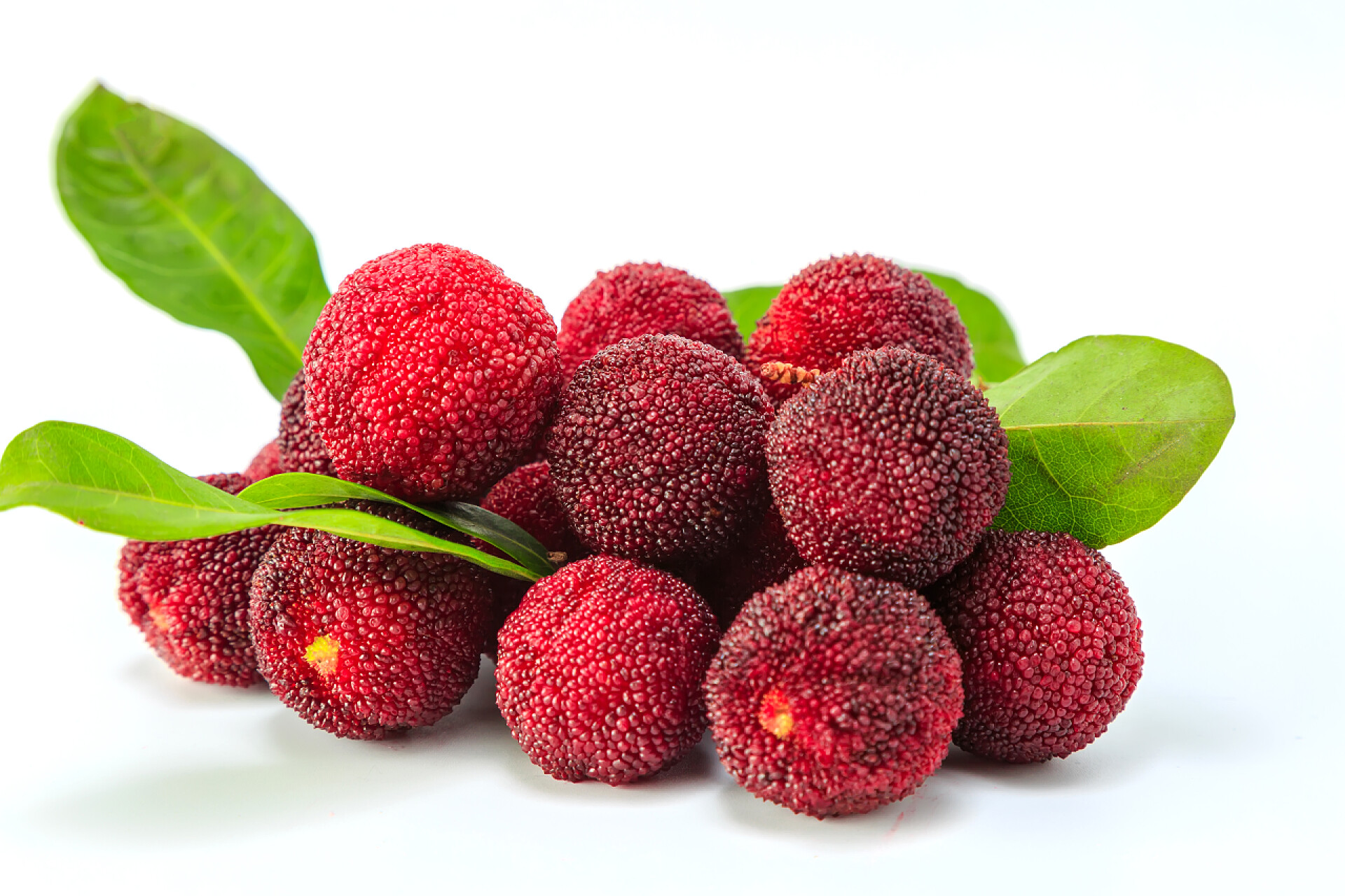 白色背景上的杨梅白色背景的越橘