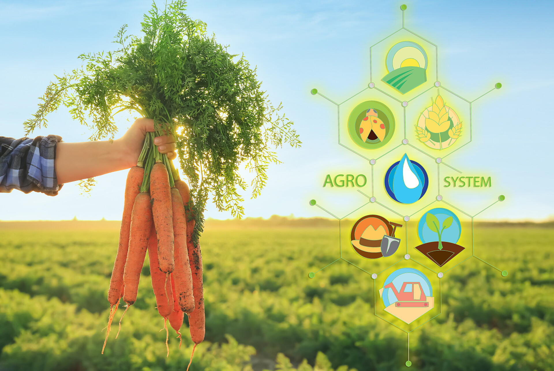 拥有收集的胡萝卜和燕麦应用图标的女农民拥有收集的胡萝卜和燕麦应用图标的女农民。智能农业和数字农业