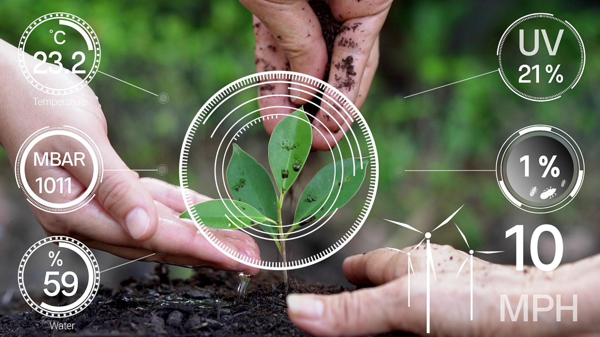 利用人工智能控制作物生长和收获质量智能数字农业技术采用未来传感器数据采集管理，利用人工智能控制作物生长和收获质量。计算机辅助种植的概念.