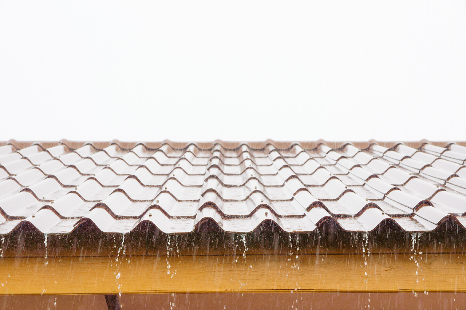 雨落在屋顶上雨落在屋顶上