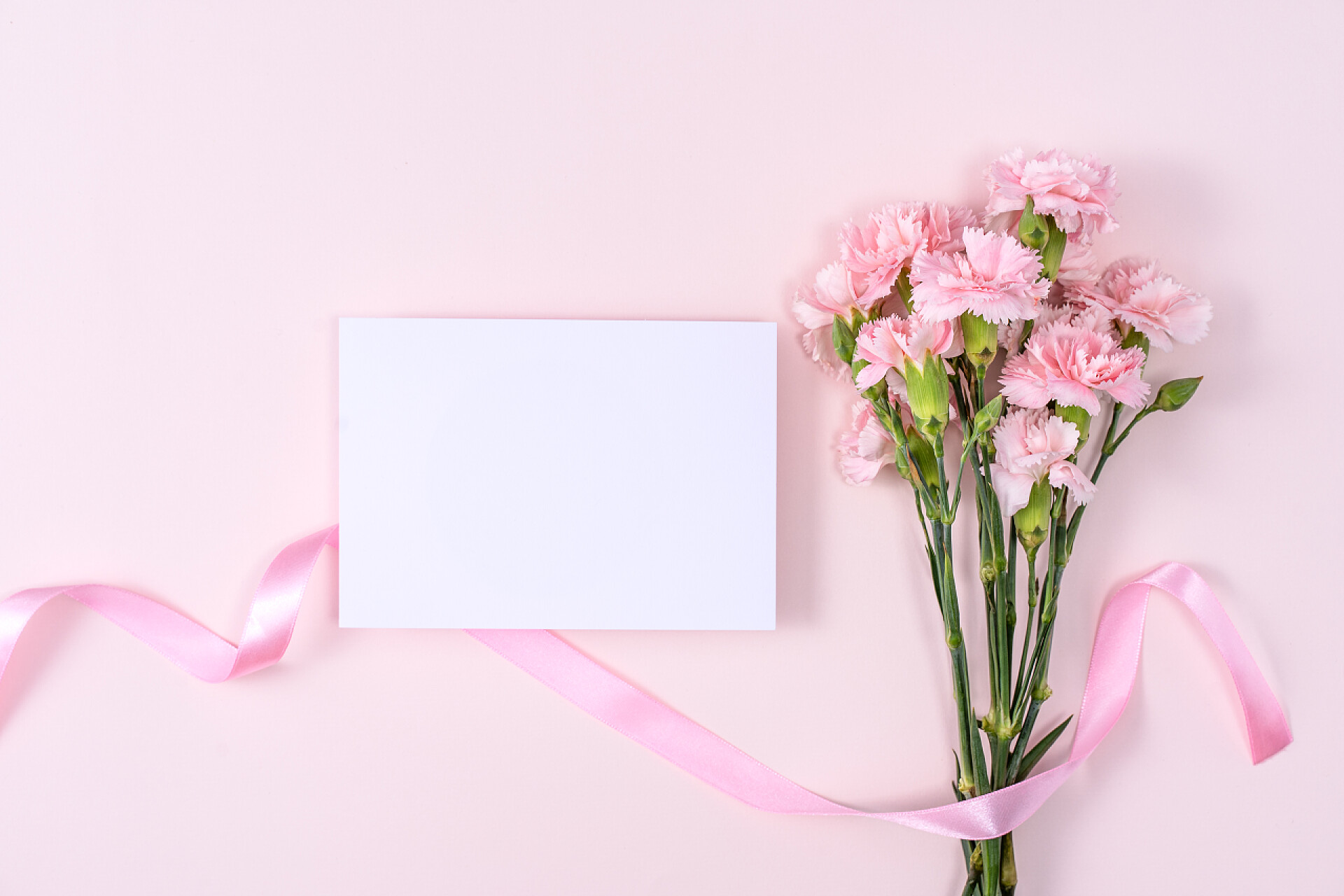 漂亮的粉红色康乃馨花束母亲节，情人节背景设计理念，粉红餐桌上漂亮的粉红色康乃馨花束，顶视图，平铺，复制空间.