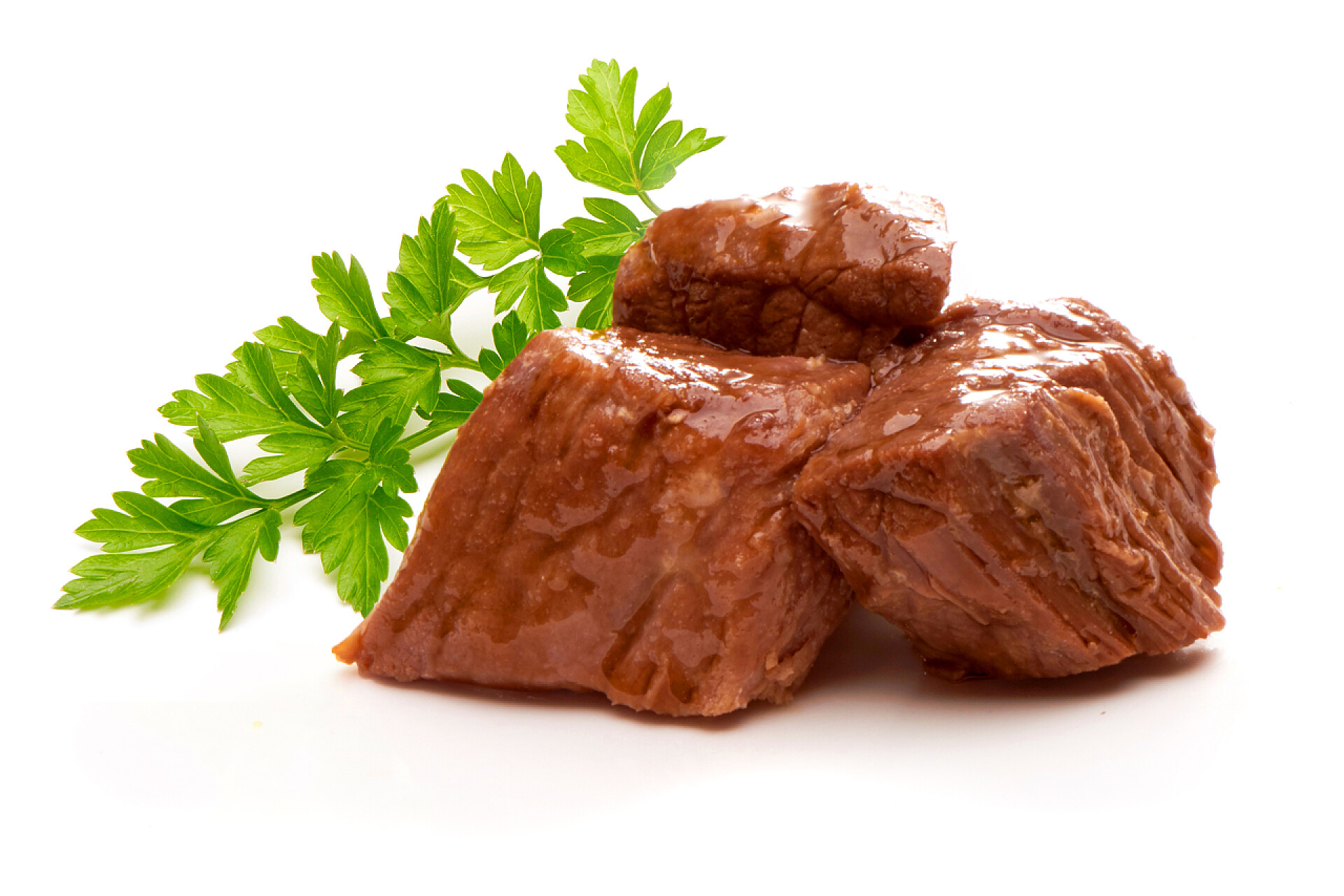 白色背景上的牛肉带有白色背景的草本植物的炖肉