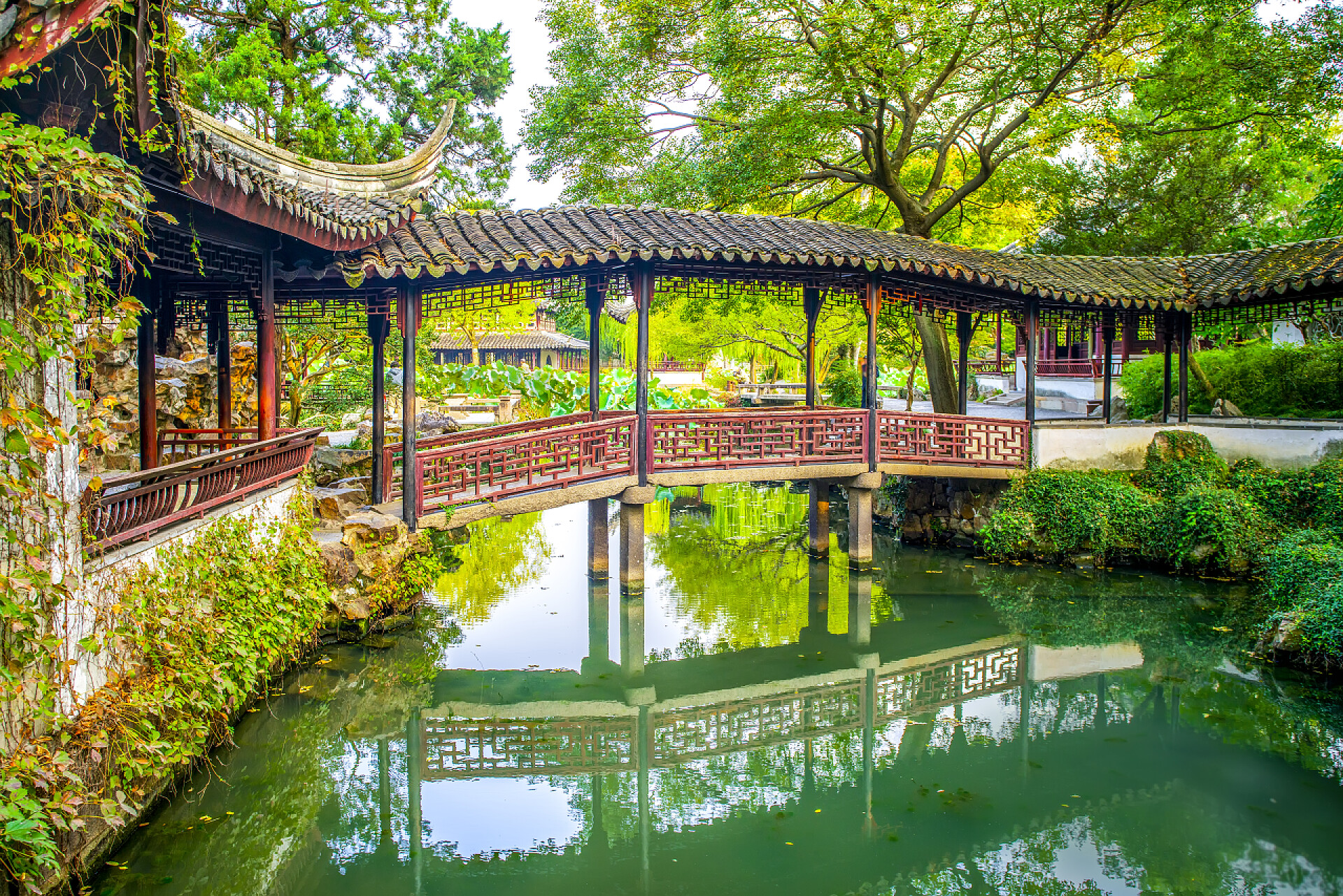 苏州的园林公园风景中国苏州景观建筑博物馆