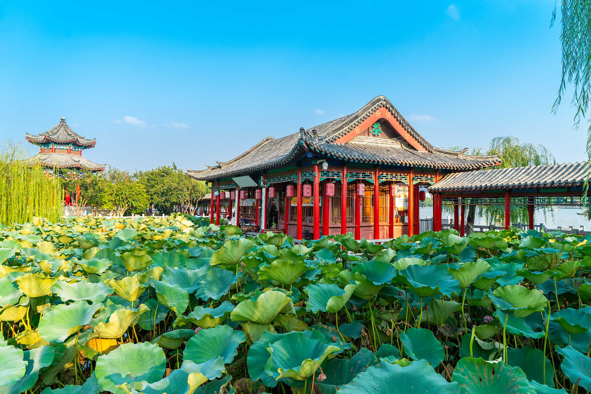 大明湖的美丽风景与建筑景观大明拉的美丽风景与建筑景观