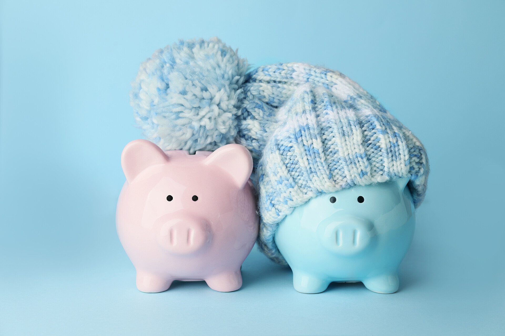 不同颜色的小猪手办彩色背景下的猪头和暖和的帽子