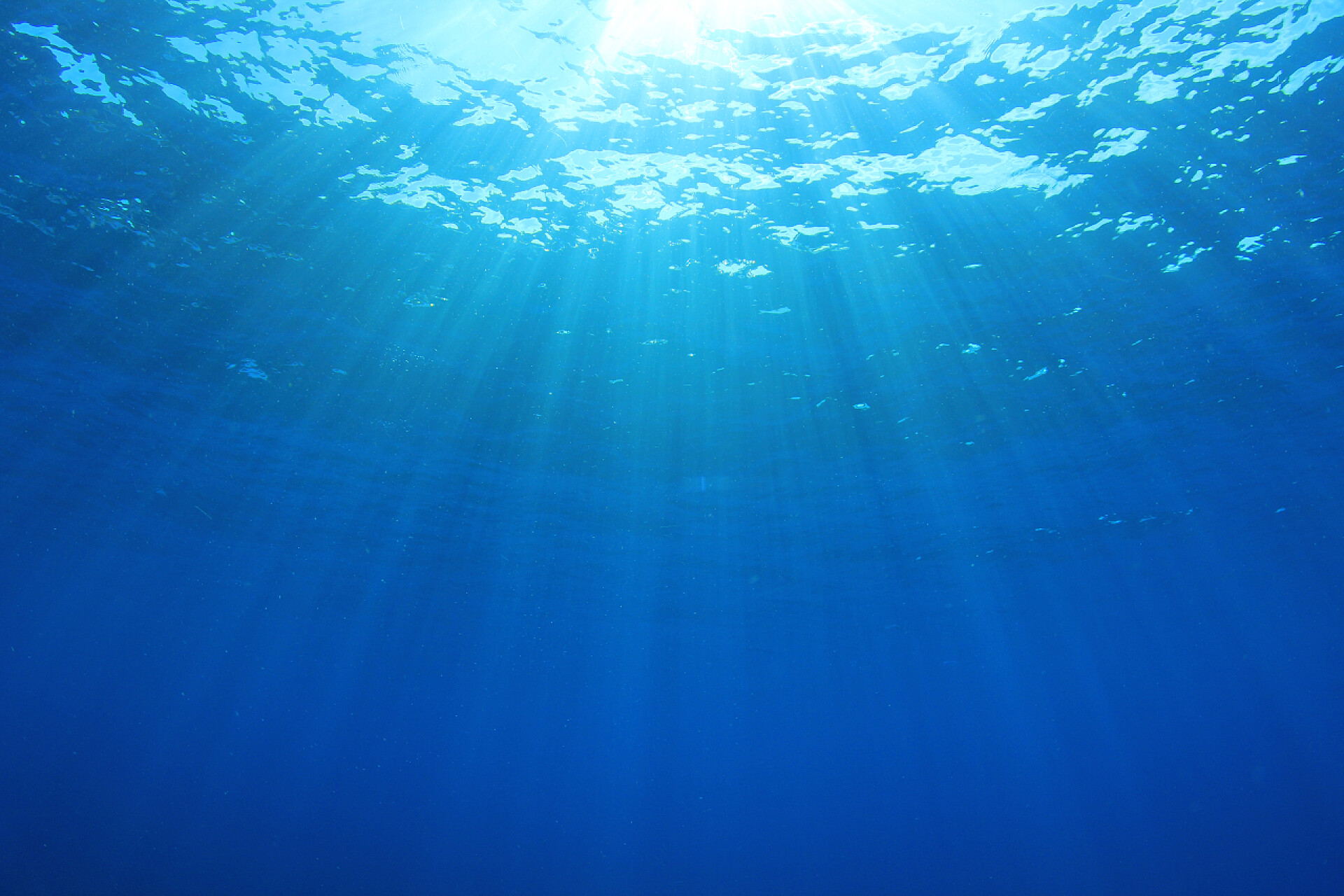 阳光透过海面撒入海洋深处的海洋景观美丽的水下海洋景观