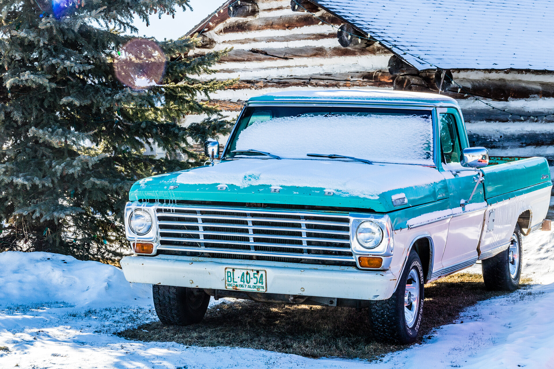 被白雪覆盖的老式汽车老式汽车和卡车闲坐在田野里.加拿大艾伯塔省Millarville