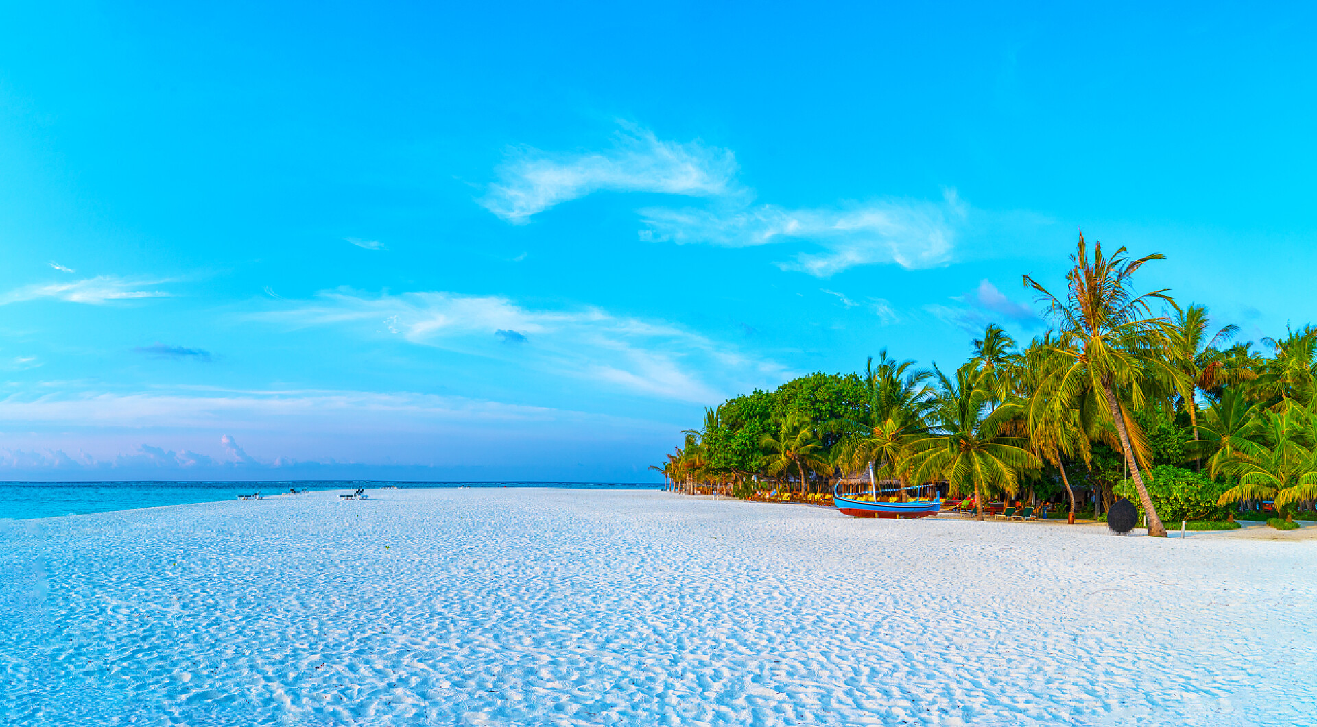 蓝天白云下的大海和树木