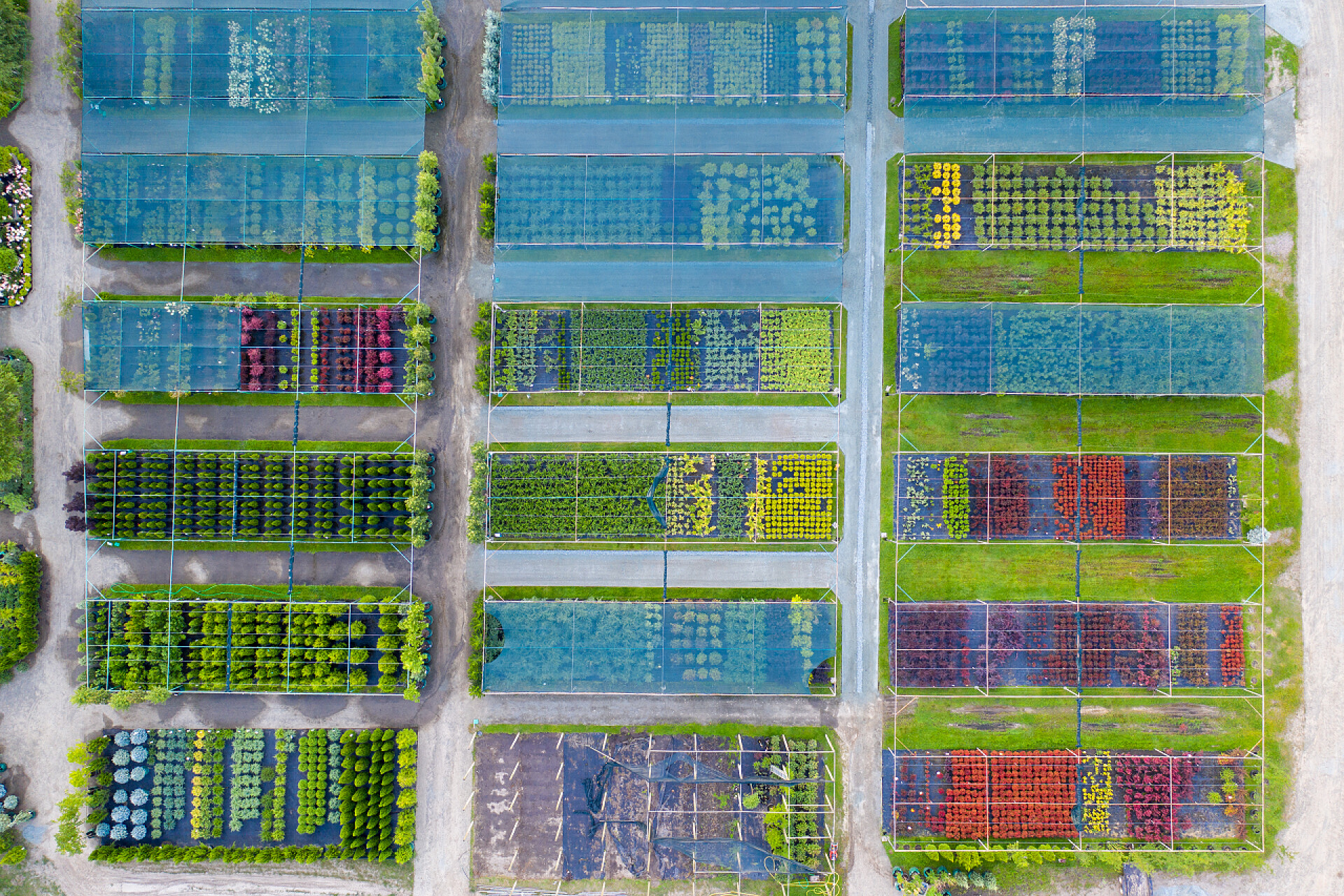 在商场内的各种植物商铺内有各式各样的观赏植物作美化用途。无人机视图。针叶树、落叶植物和开花植物的大型分类.