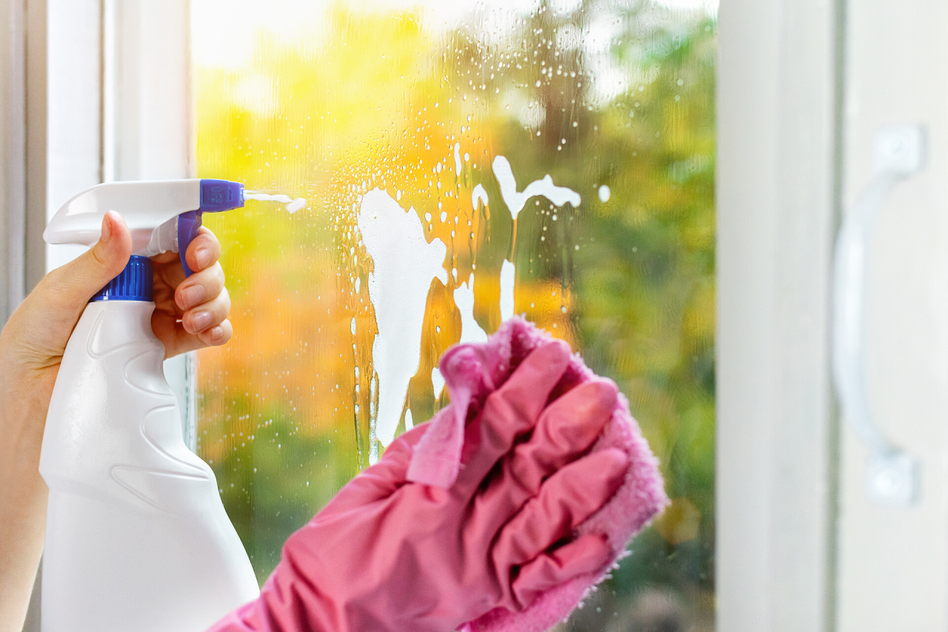 一个戴着手套的女人在清洁窗户手戴粉色防护手套，用喷雾器把玻璃杯洗在房子的窗户上。一个女人用抹布擦窗玻璃,然后喷出火花.用清洁剂清洁，家常便饭.