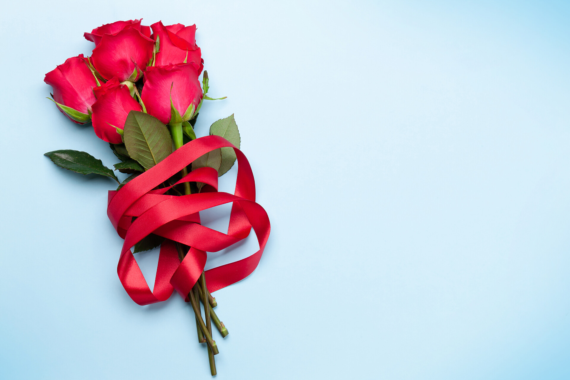 蓝色背景上的五朵玫瑰花情人节贺卡,红玫瑰花束,蓝色背景.俯瞰平面放置有空间供您问候