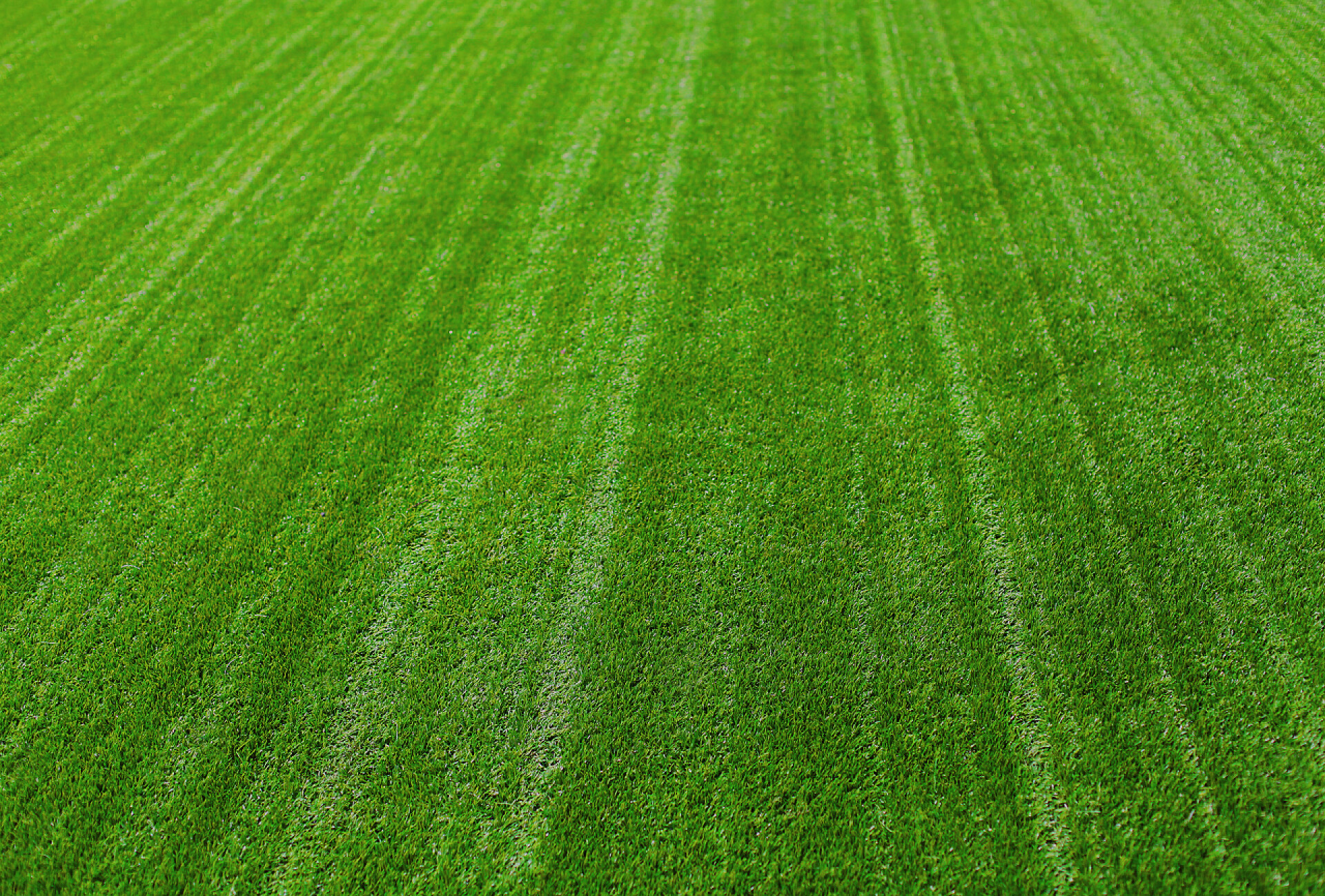 从往下看的绿色草坪Green grass texture for background, nature abstract image, blank copy space