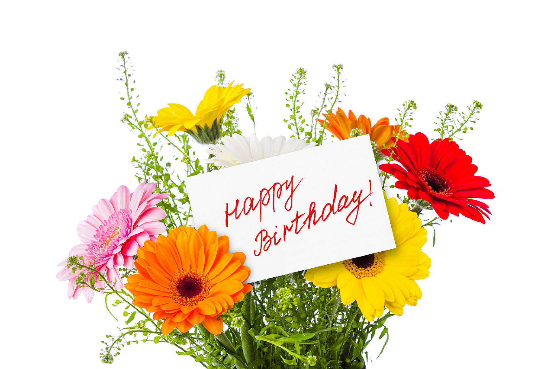 白色背景前的花朵和贺卡白色背景下隔离的花朵、花束和贺卡