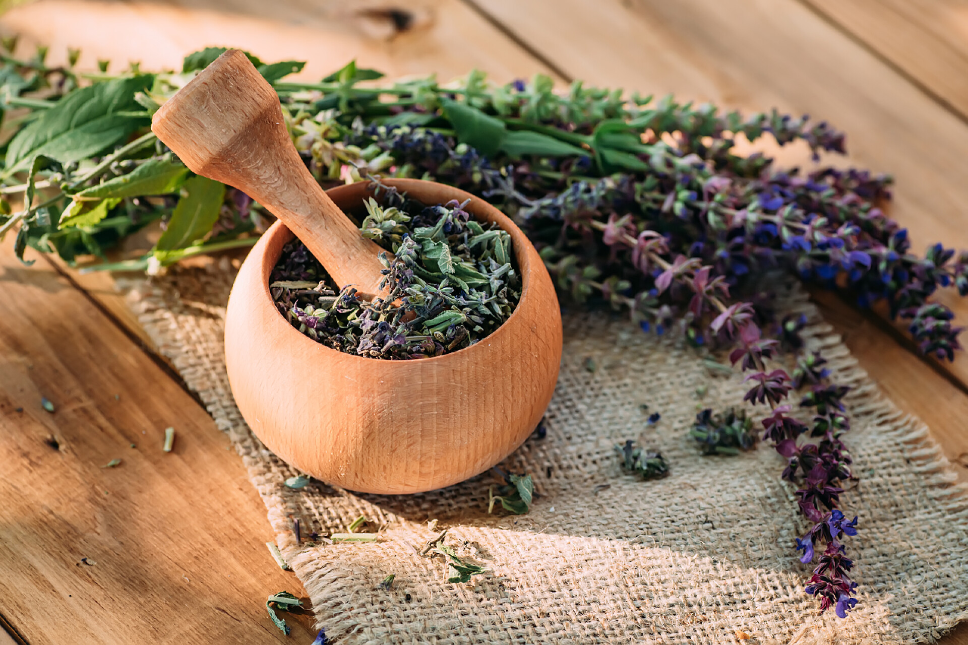 木制桌子上的香料和草本植物沙门氏菌、草本植物或草本植物在砂浆附近结满了熟的干草本植物，开着紫色的鲜花。药草。自行用药。收集草药植物用于医药和美容
