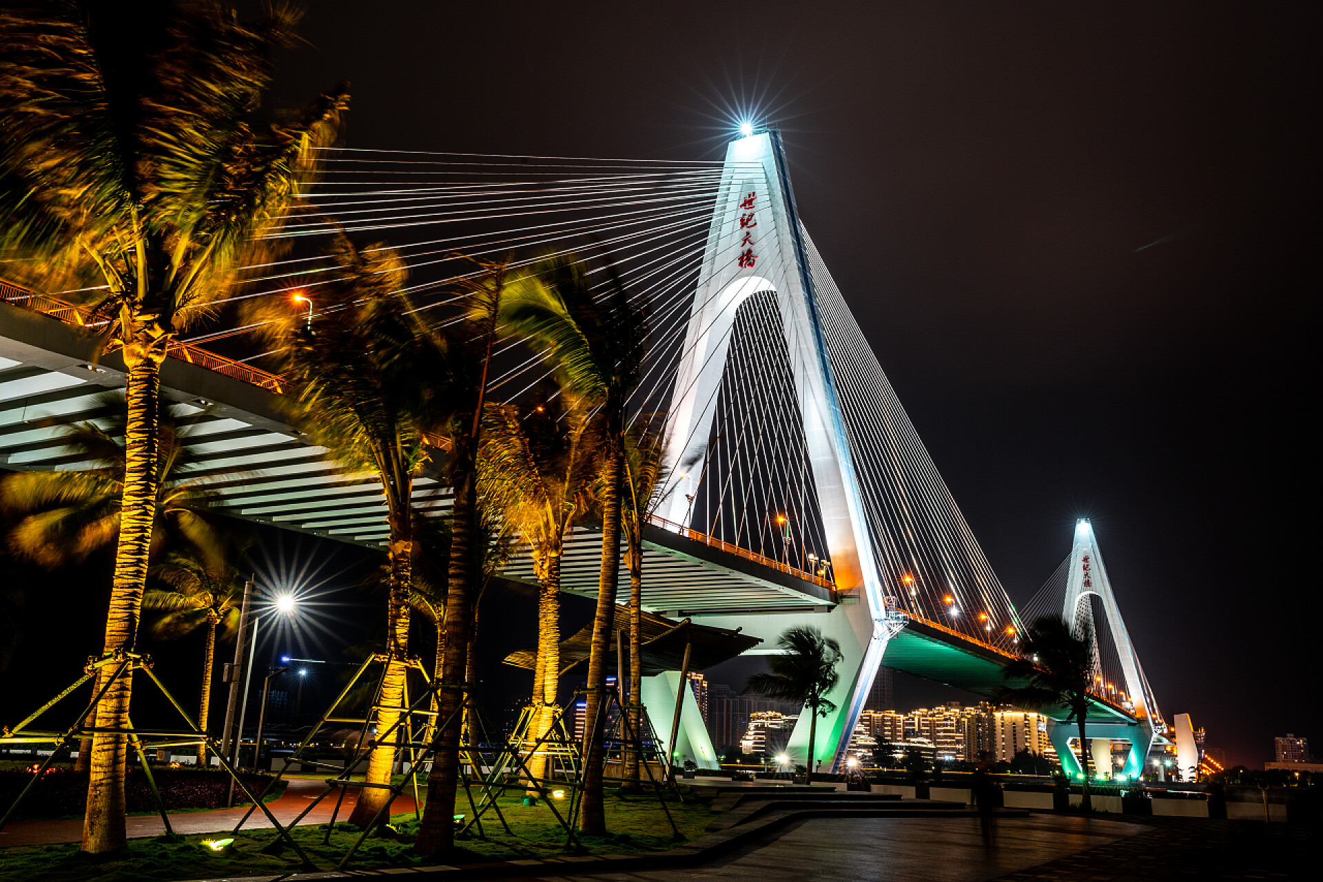 在海口美丽的世纪大桥