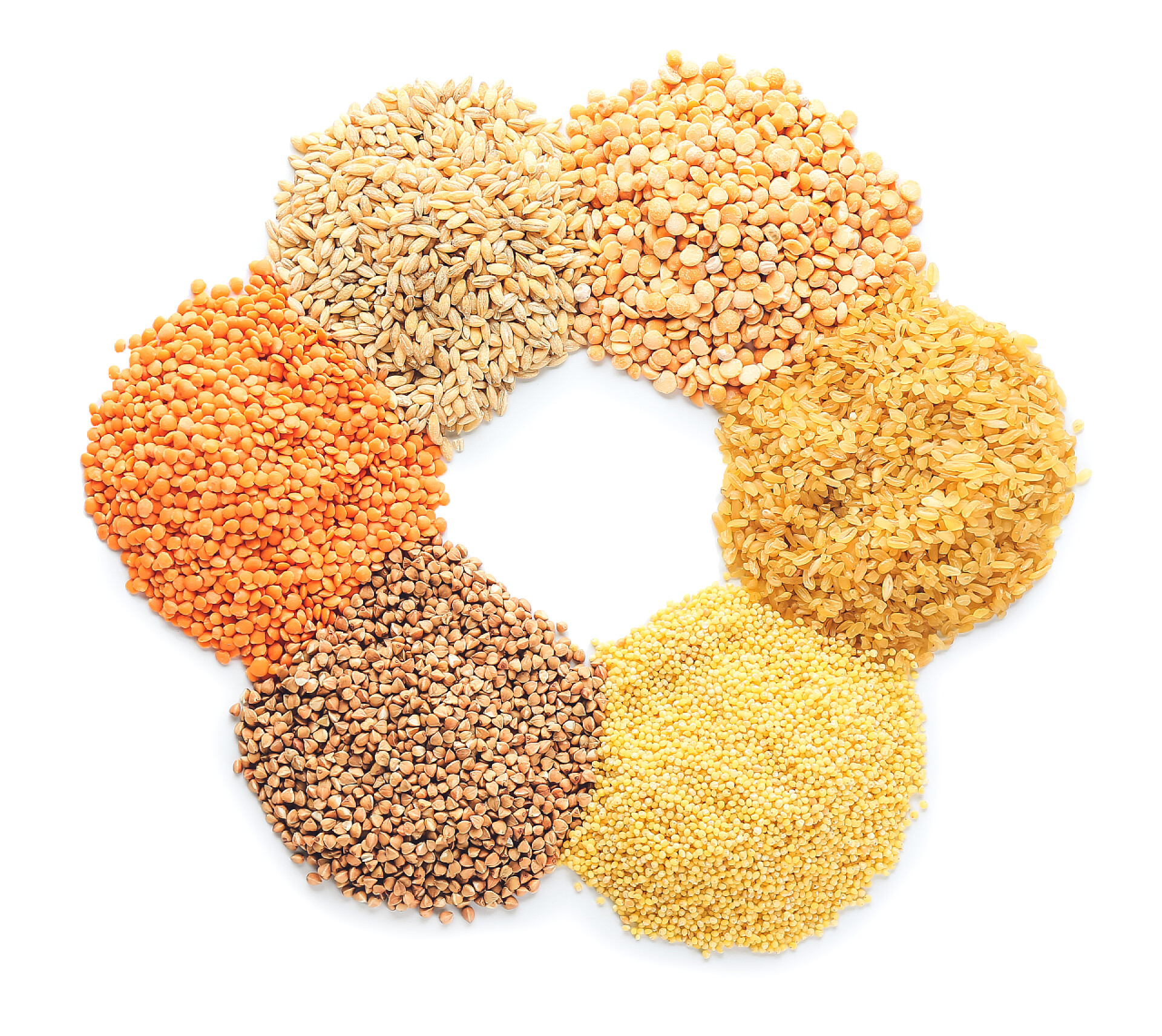 白色背景墙六种不同的粮食白色背景下不同谷类和豆科植物的堆积物