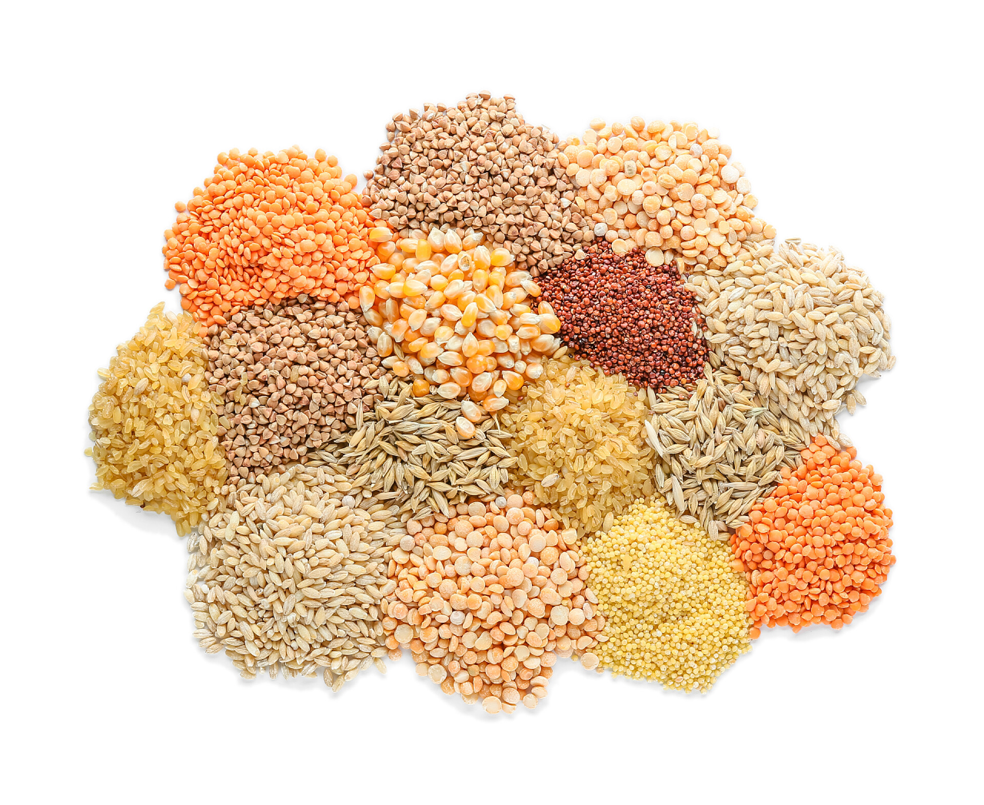 白色桌子上的许多不同的粮食白色背景下不同谷类和豆科植物的堆积物