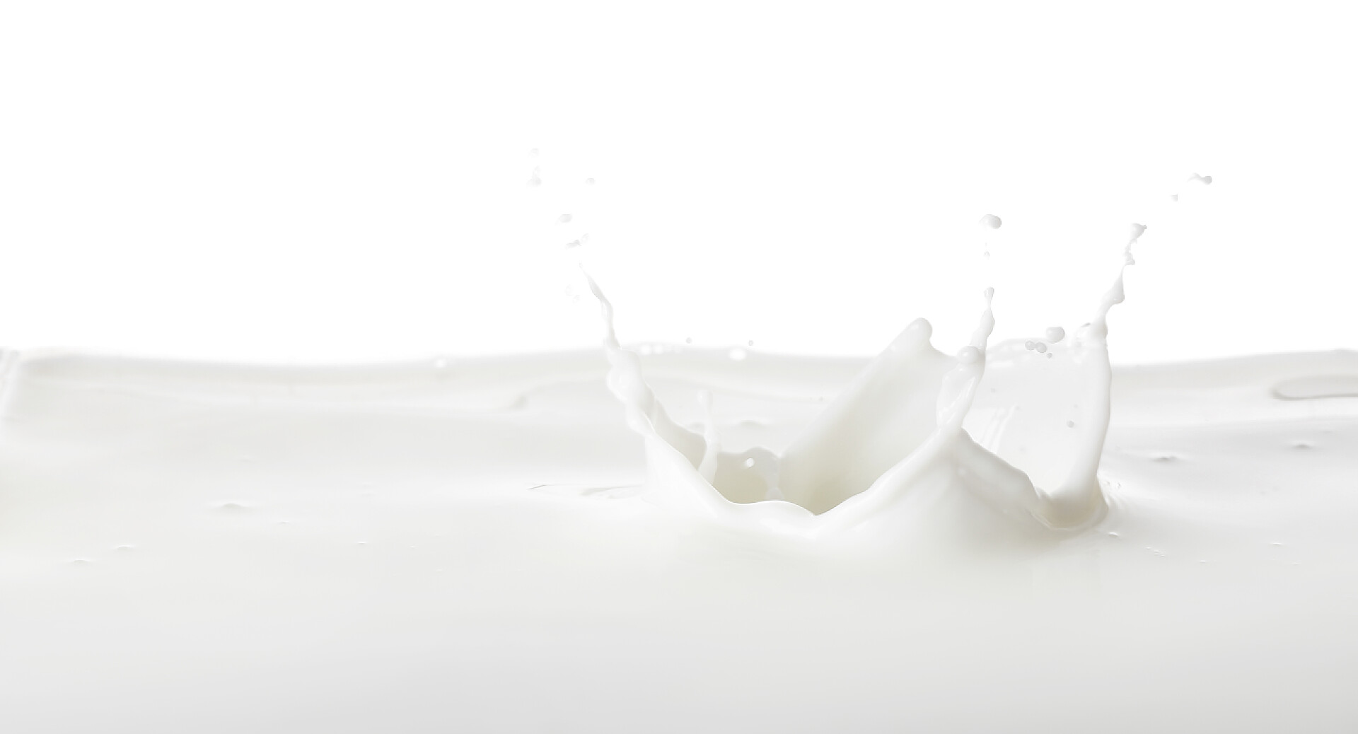 白色背景墙的白色牛奶白底牛奶的水花