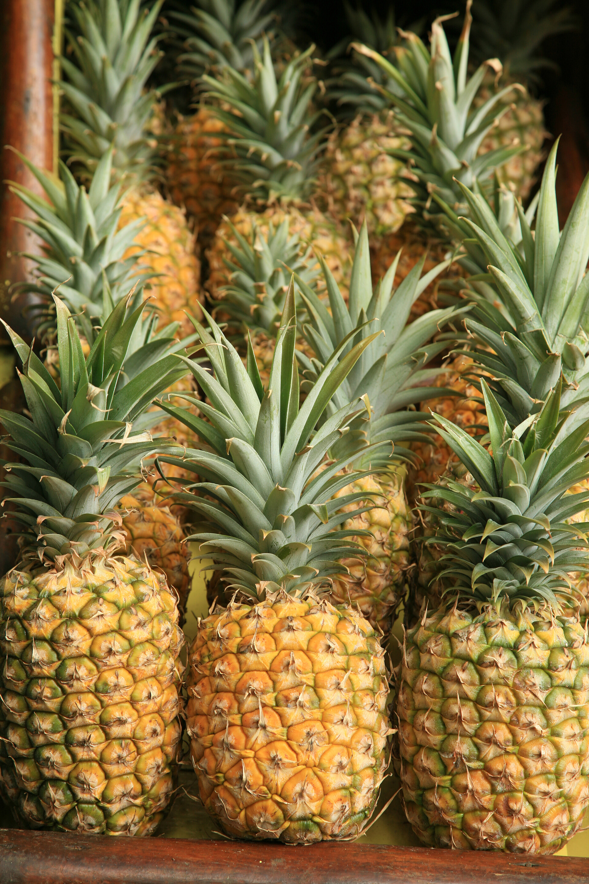 在桌子上摆放的许许多多的芒果菠萝。芒果。被白色隔离了文字空间。裁剪路径。整个菠萝和曼奇片。菠萝，叶子与白色隔离。夏天的水果健康和天然的食物。切片芒果。新鲜的成熟水果。热带水果。夏威夷水果.