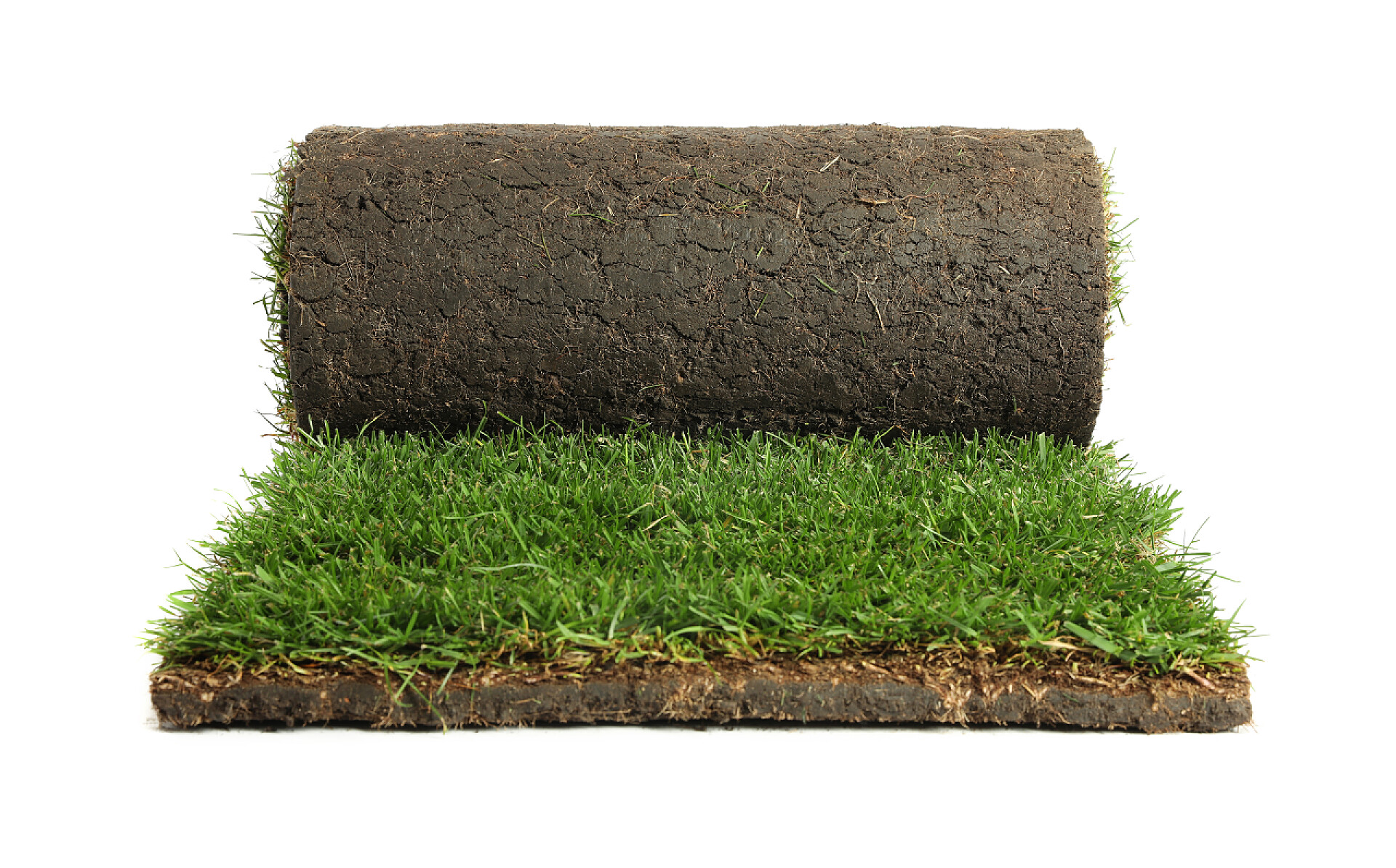 白色背景下卷起的草卷白底草卷草皮