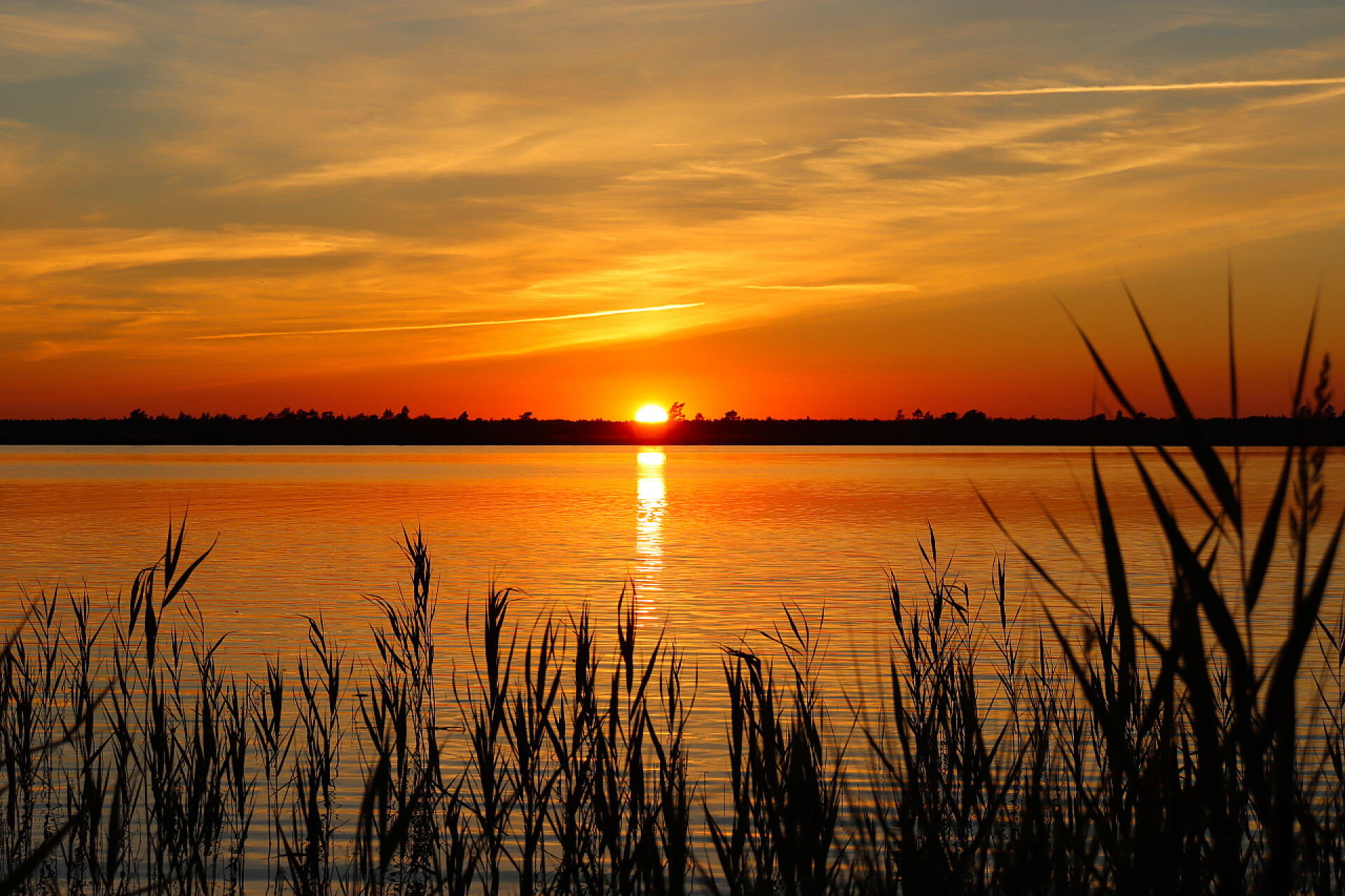 夕阳下的海面和天空夏天，在森林湖上落日，在森林边的湖上露宿