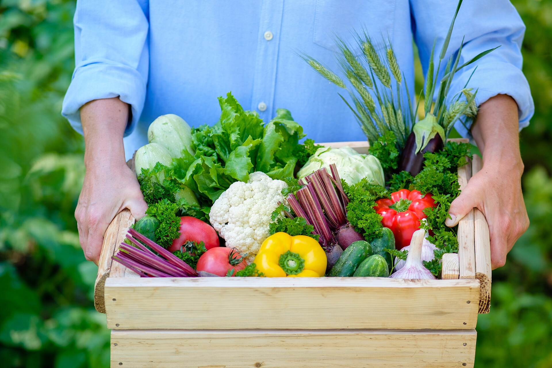 一个女人拿着一筐水果农妇拿着装满新鲜生菜的木箱.收获概念.