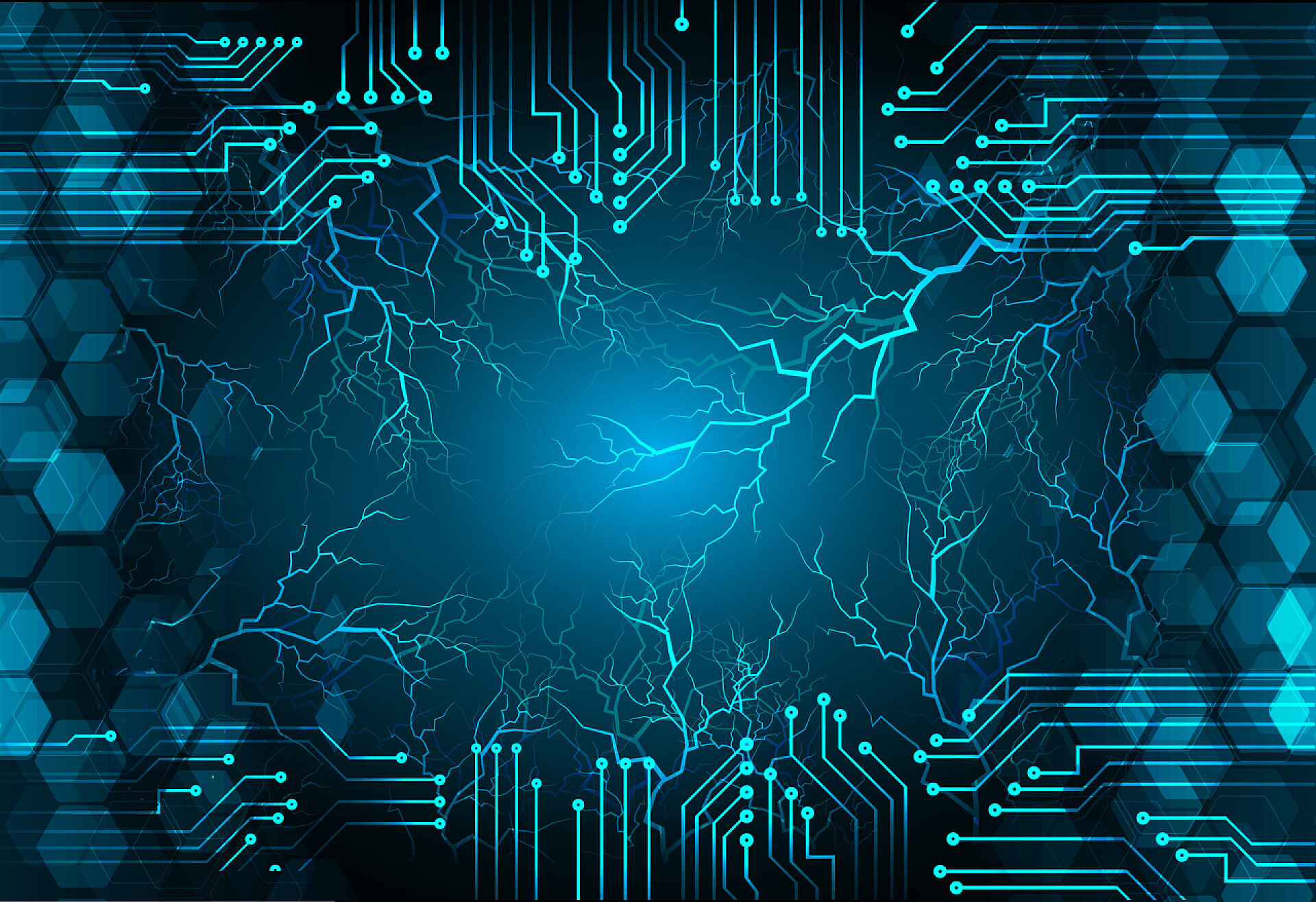 绿色的信息网络