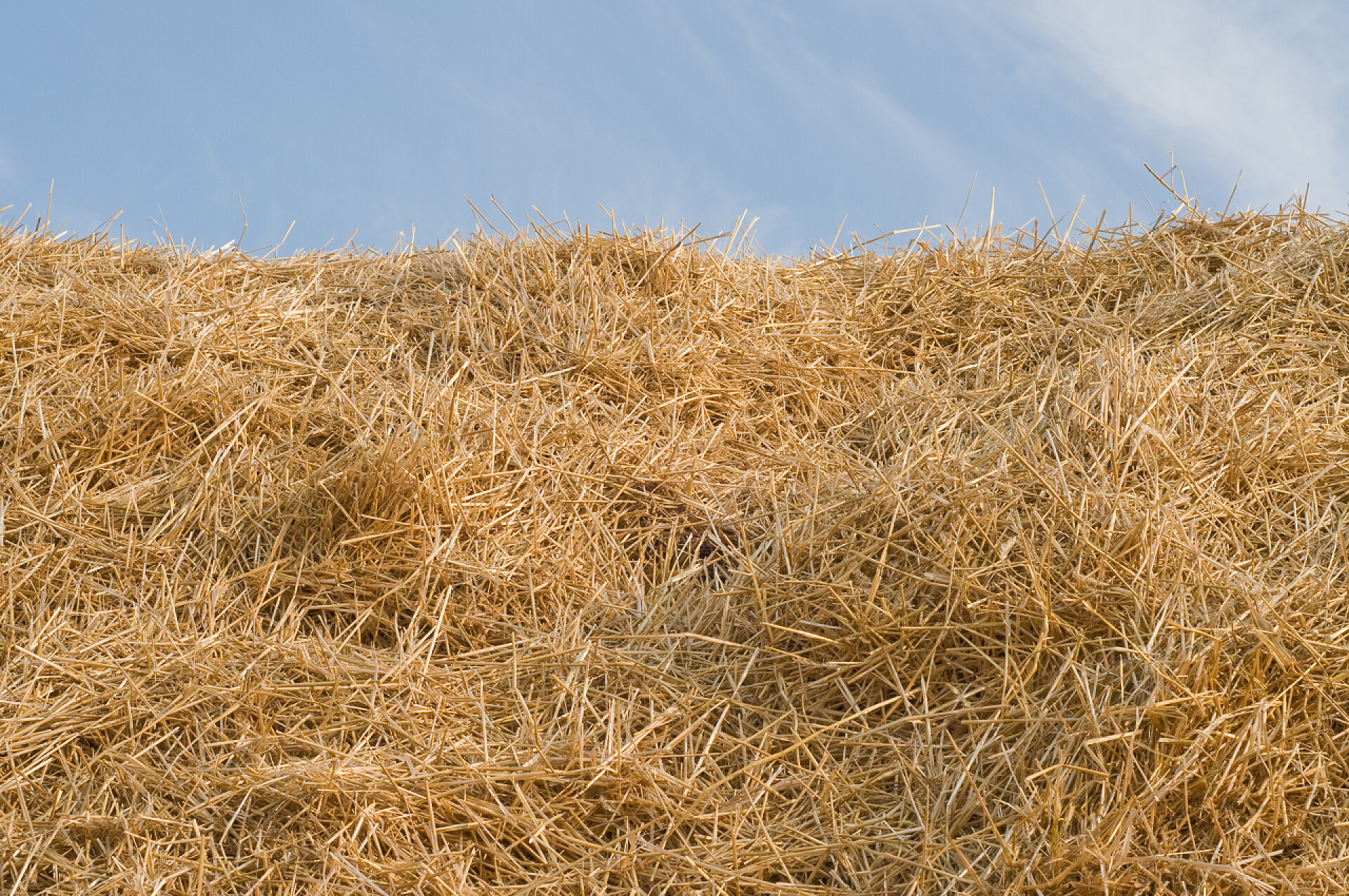 蓝天下的黄色干草秸秆农业