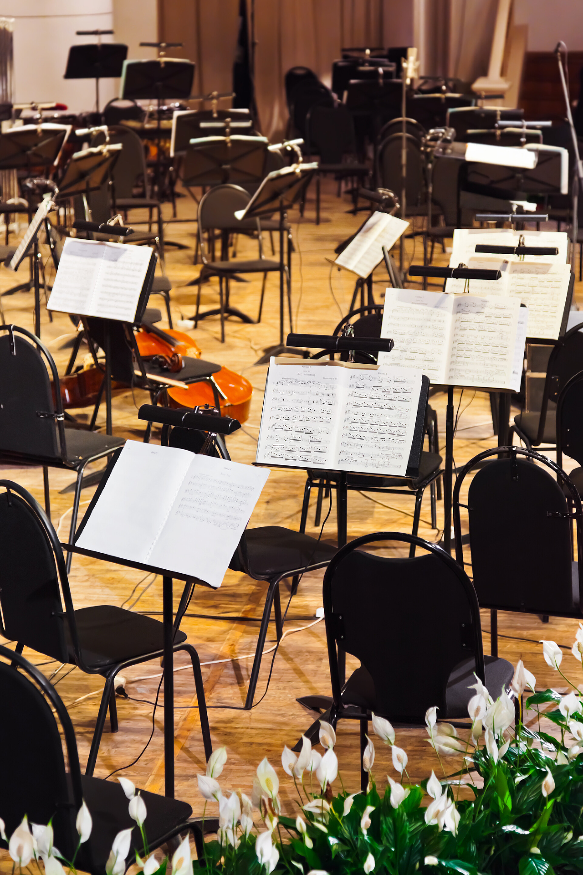 剧场里的各种乐器和乐谱