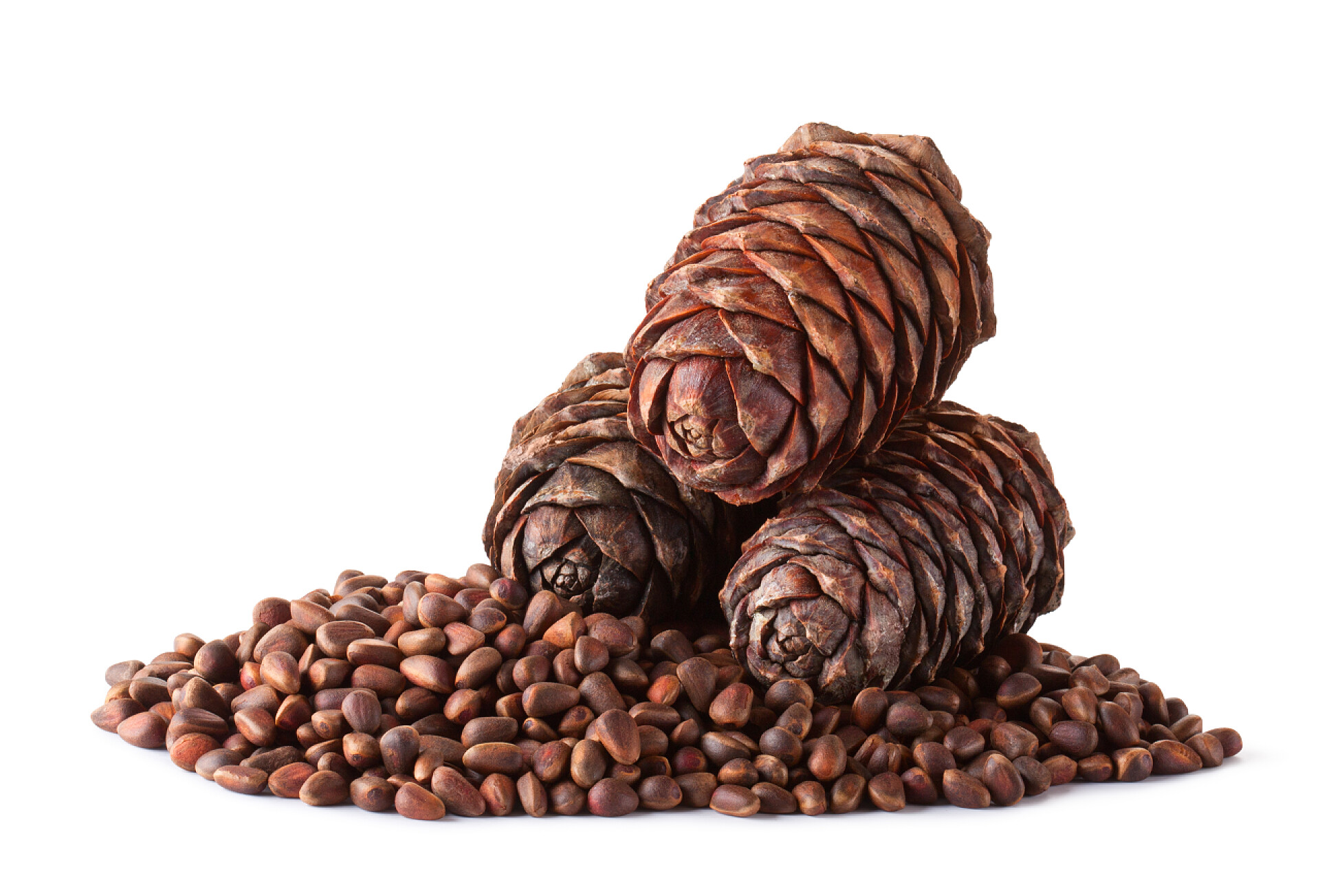 坚果松子仁零食