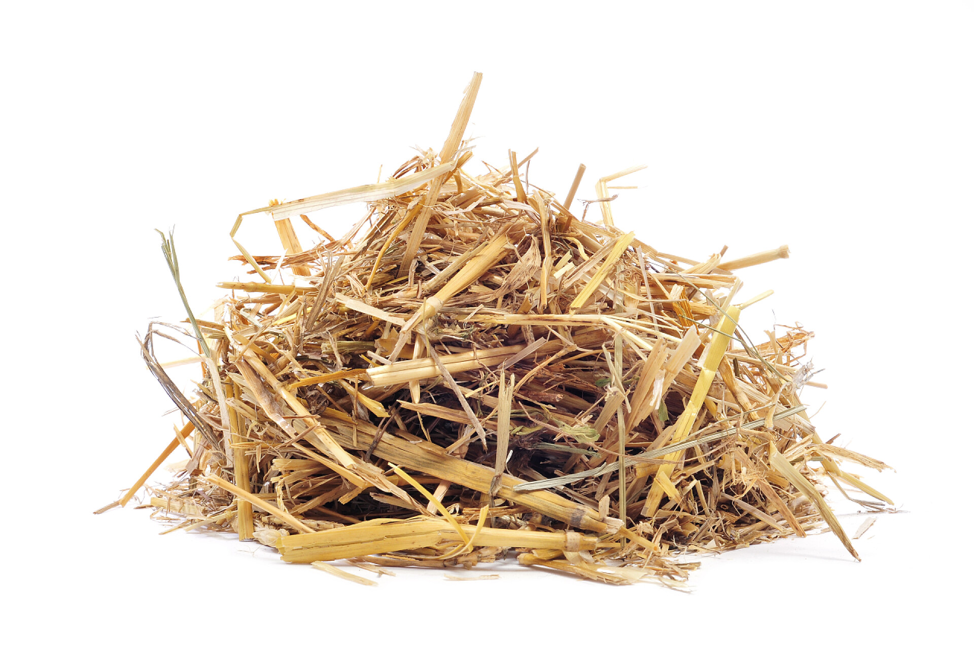 白色背景上的稻草秸秆