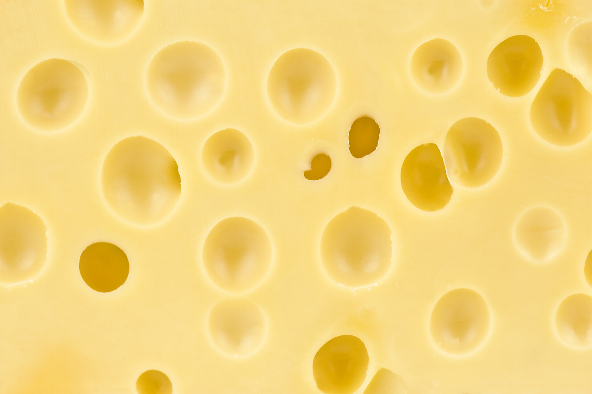 黄色的芝士奶酪特写食物