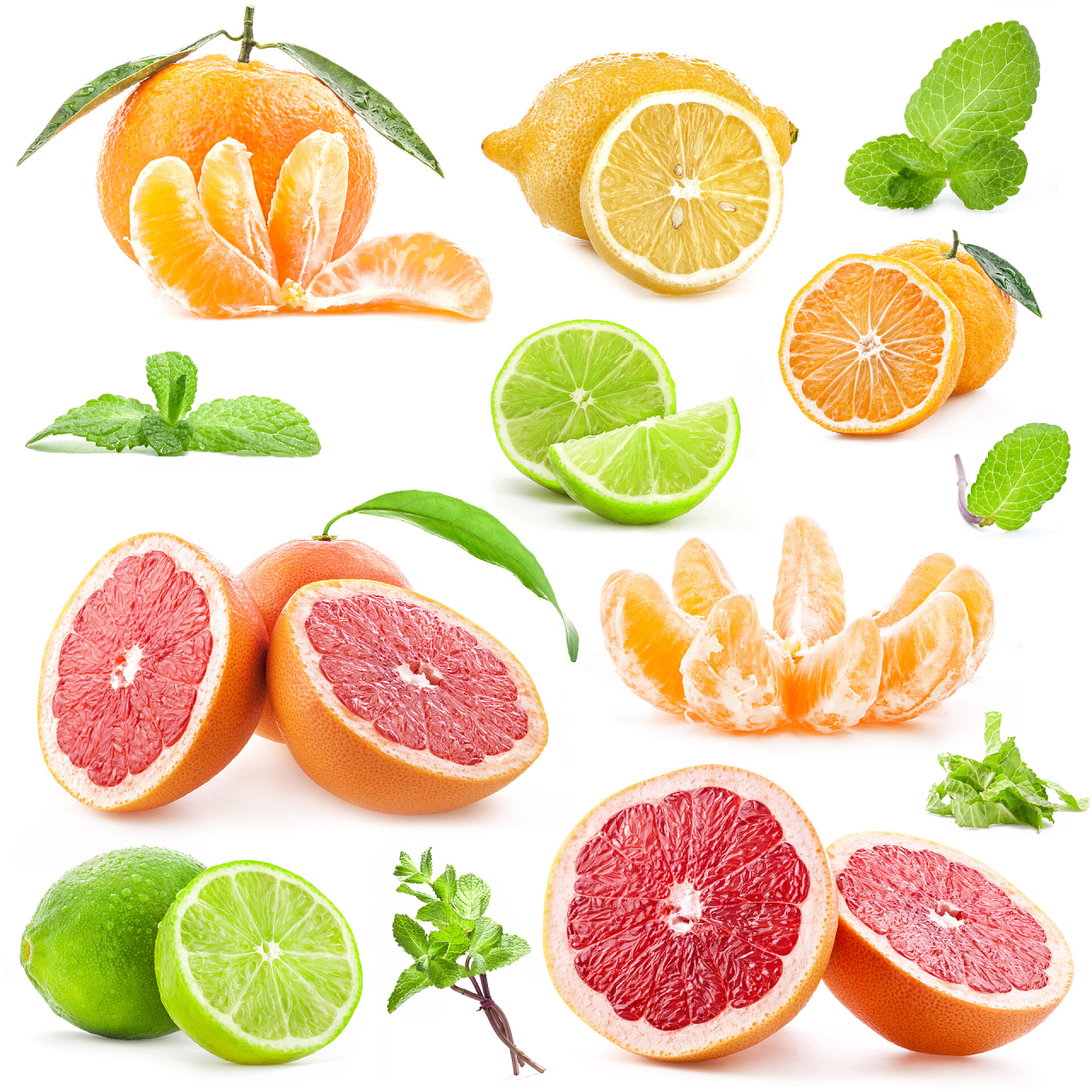 白色背景上各种柑橘类水果