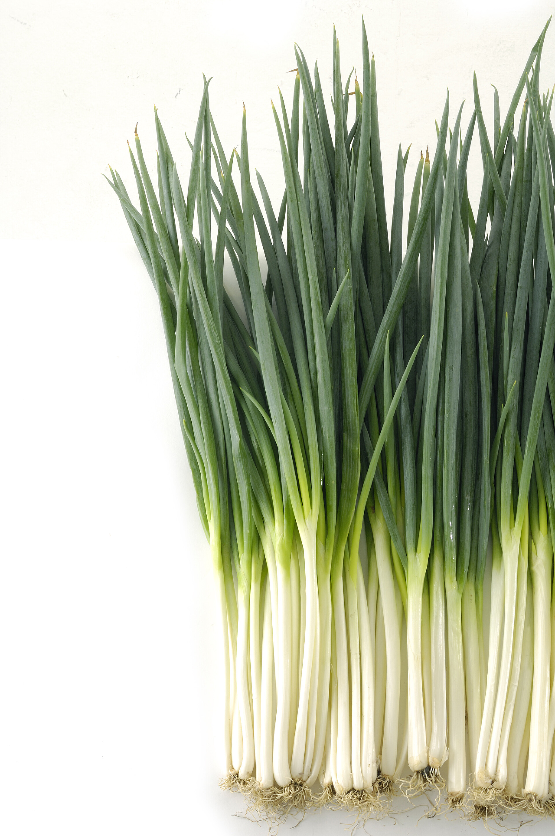 白色背景上的一把香葱蔬菜食材
