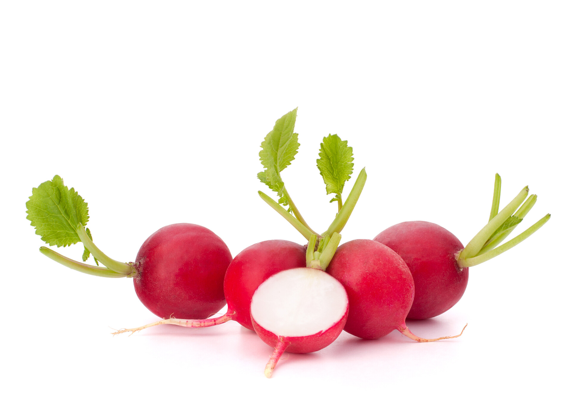 白色背景萝卜蔬菜