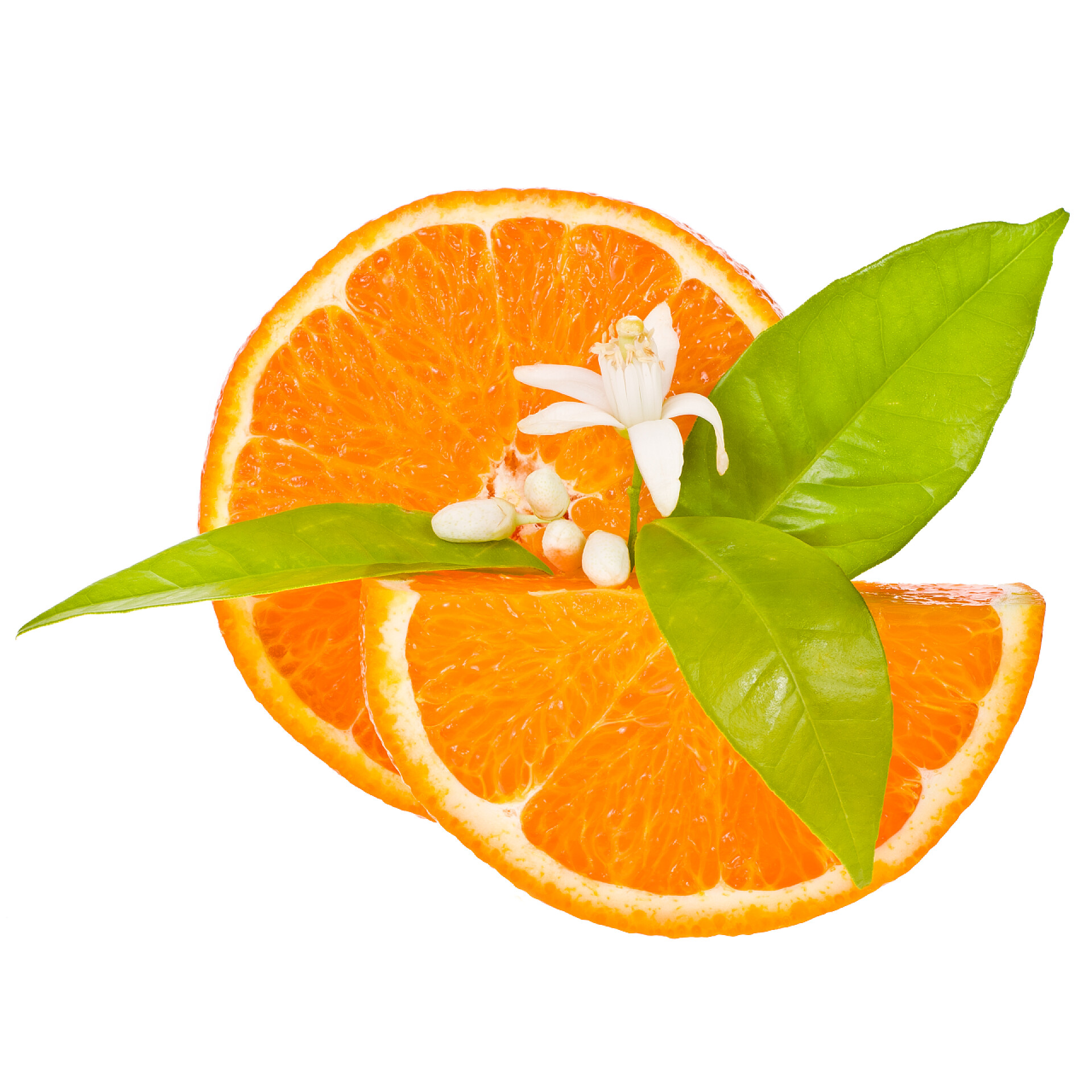 白色背景上的新鲜的橙片水果