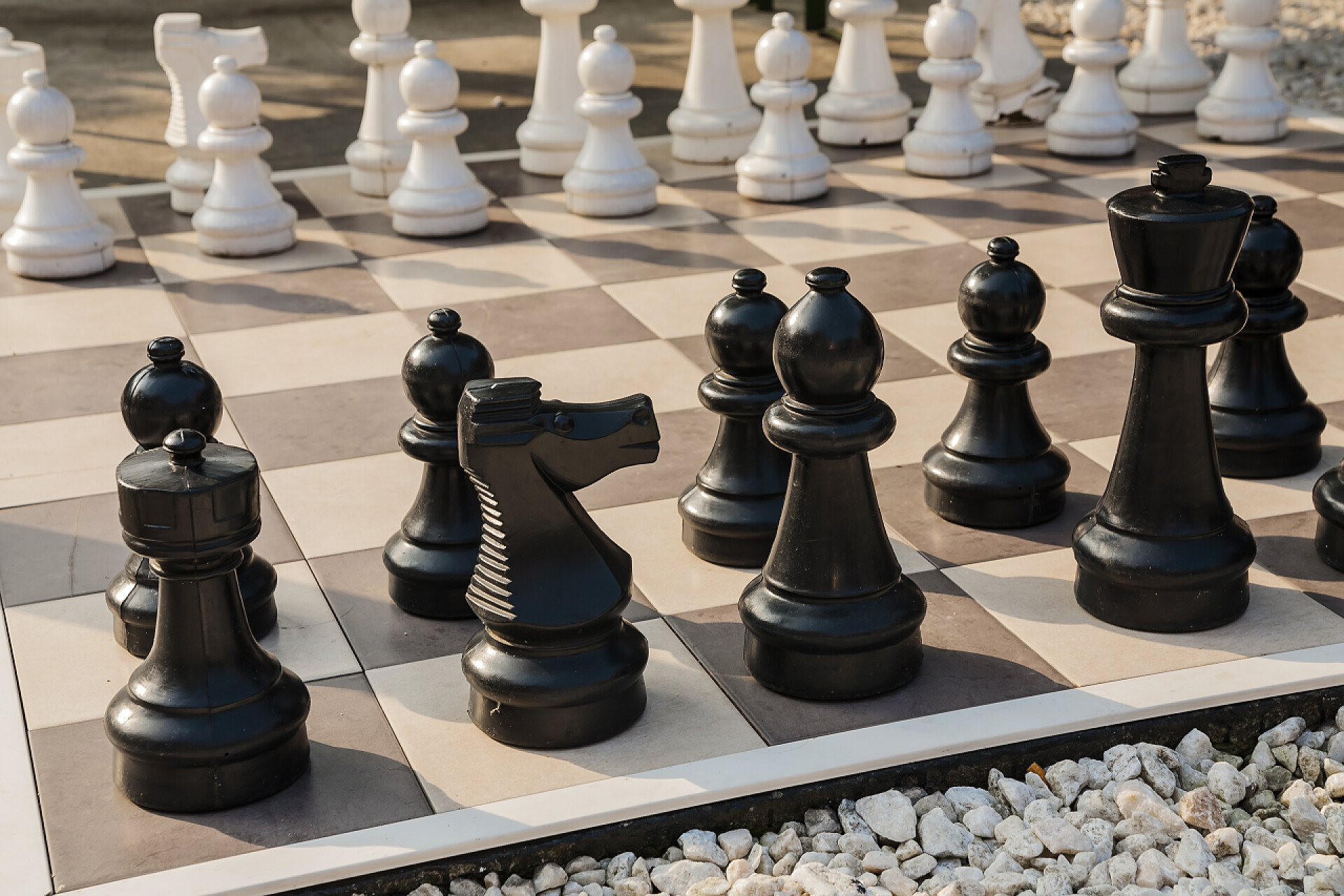 花园里的黑白西洋棋休闲娱乐