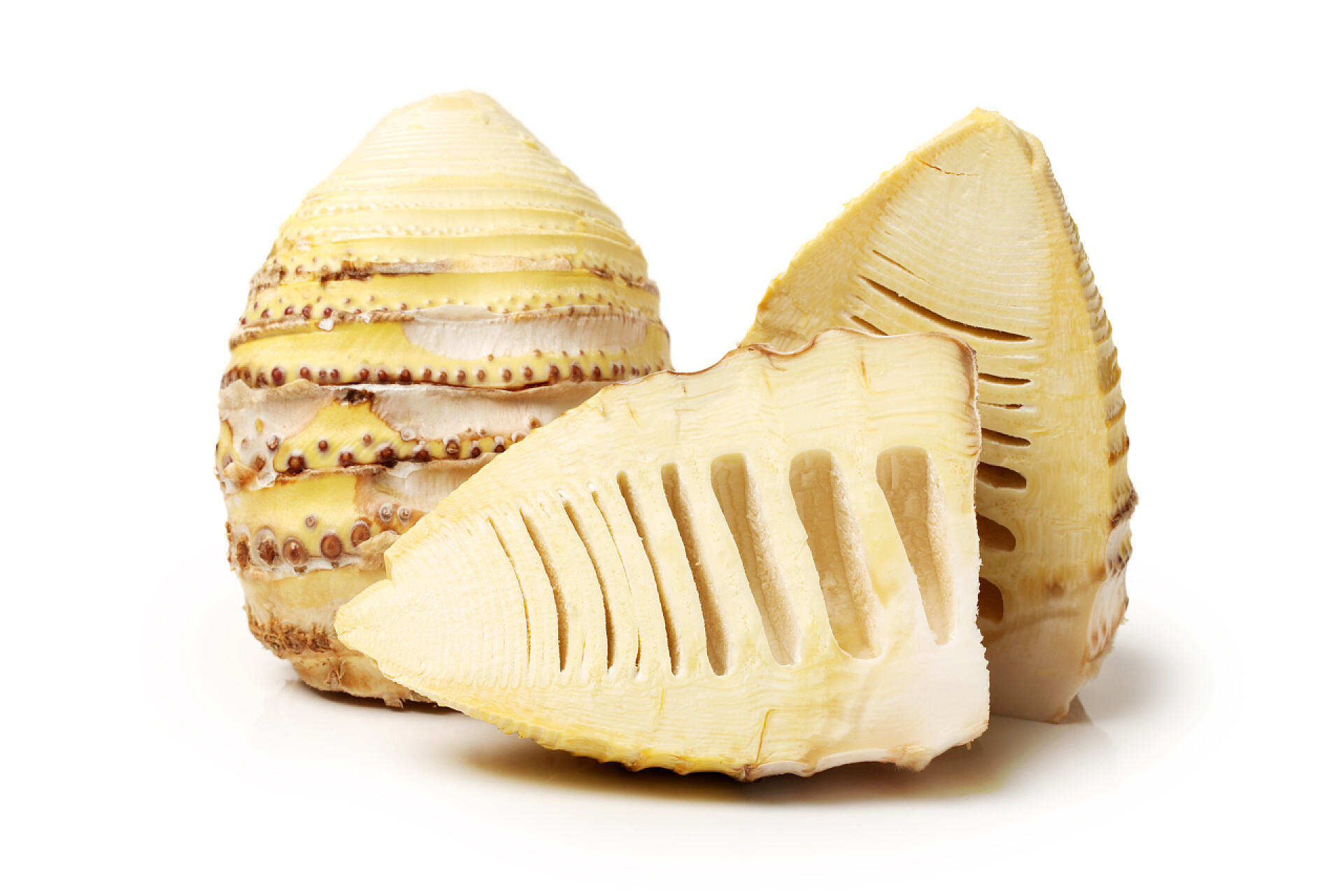 白色背景上的竹笋食物