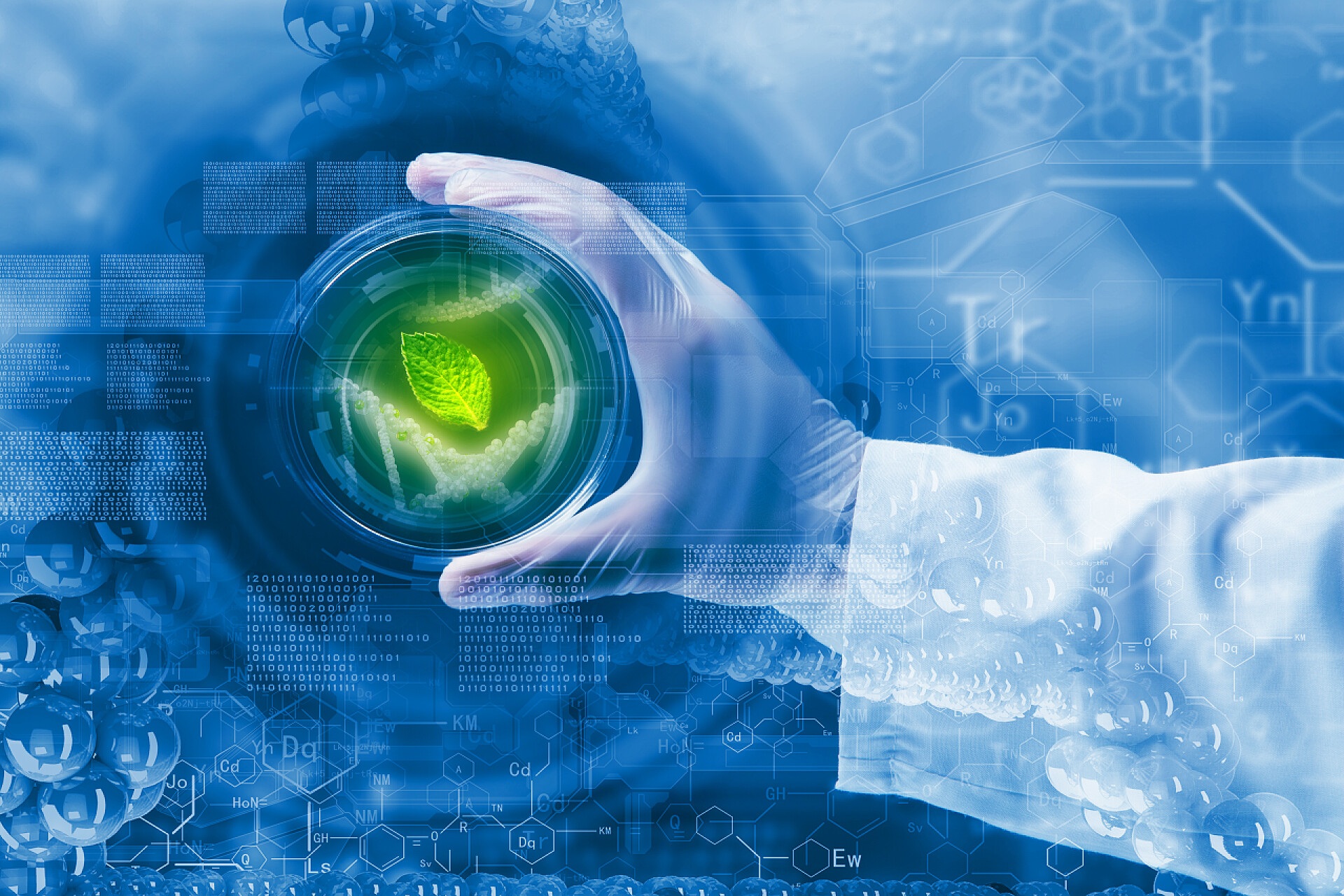 生物科学生物培育技术