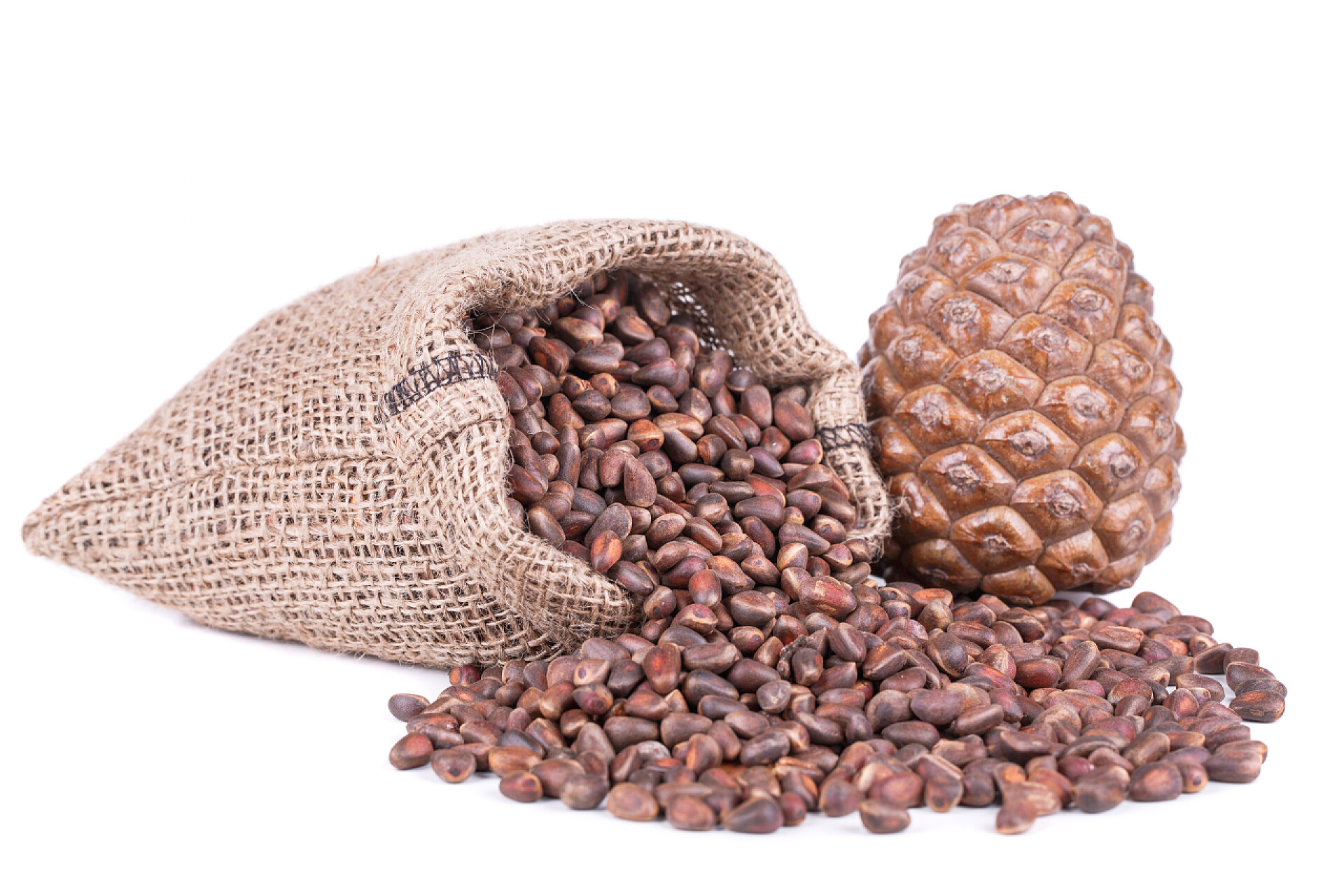 坚果类白色背景上的松子仁