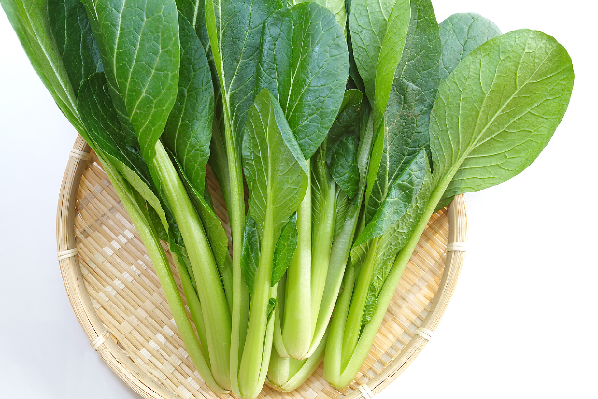 蔬菜新鲜成熟的大白菜在白色背景上