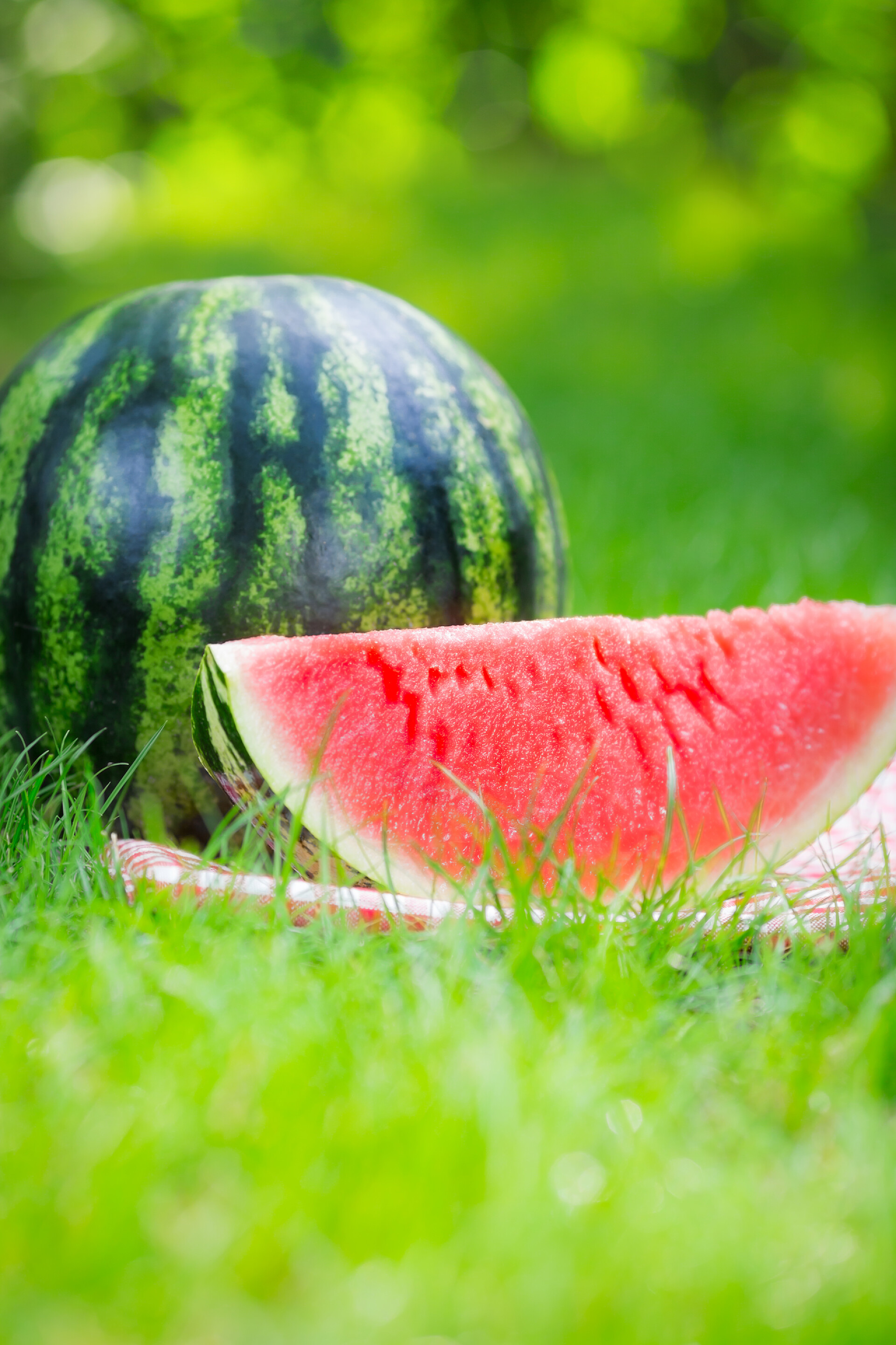 草坪上摆放的西瓜特写
